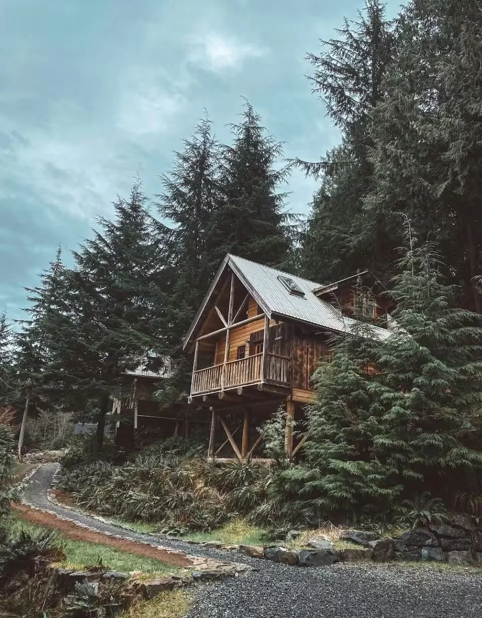 A wooden house on stilts surrounded by tall evergreen trees, with a gray metal roof and a small balcony, in a forest setting.