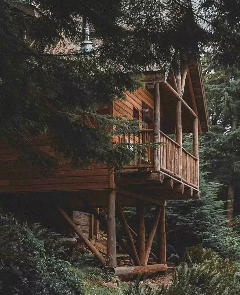 A wooden treehouse with a balcony, built among tall trees in a forest.