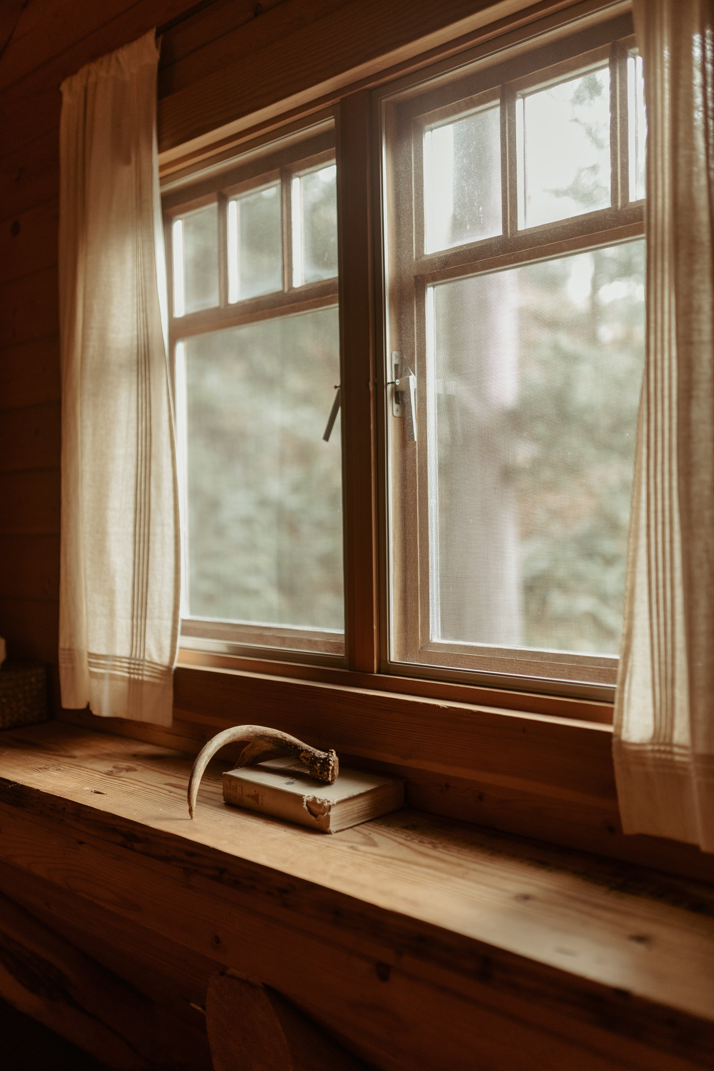 A window with a wooden frame, partially covered by beige curtains, overlooking a blurry outdoor scene with trees. On the windowsill, there is a book and an animal horn.