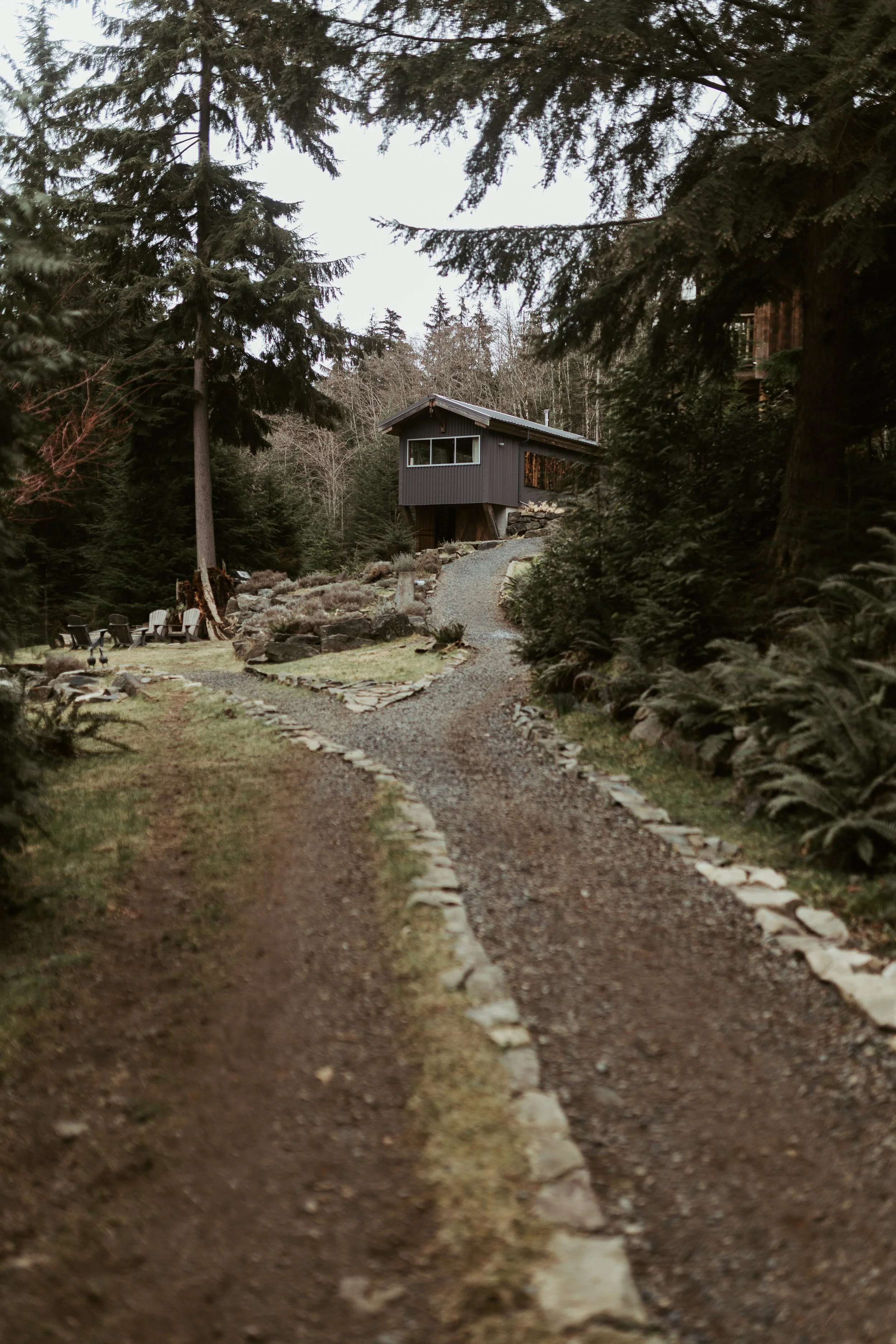 A gravel pathway with white edging stones, leading through a forested area towards a modern house elevated among tall trees.