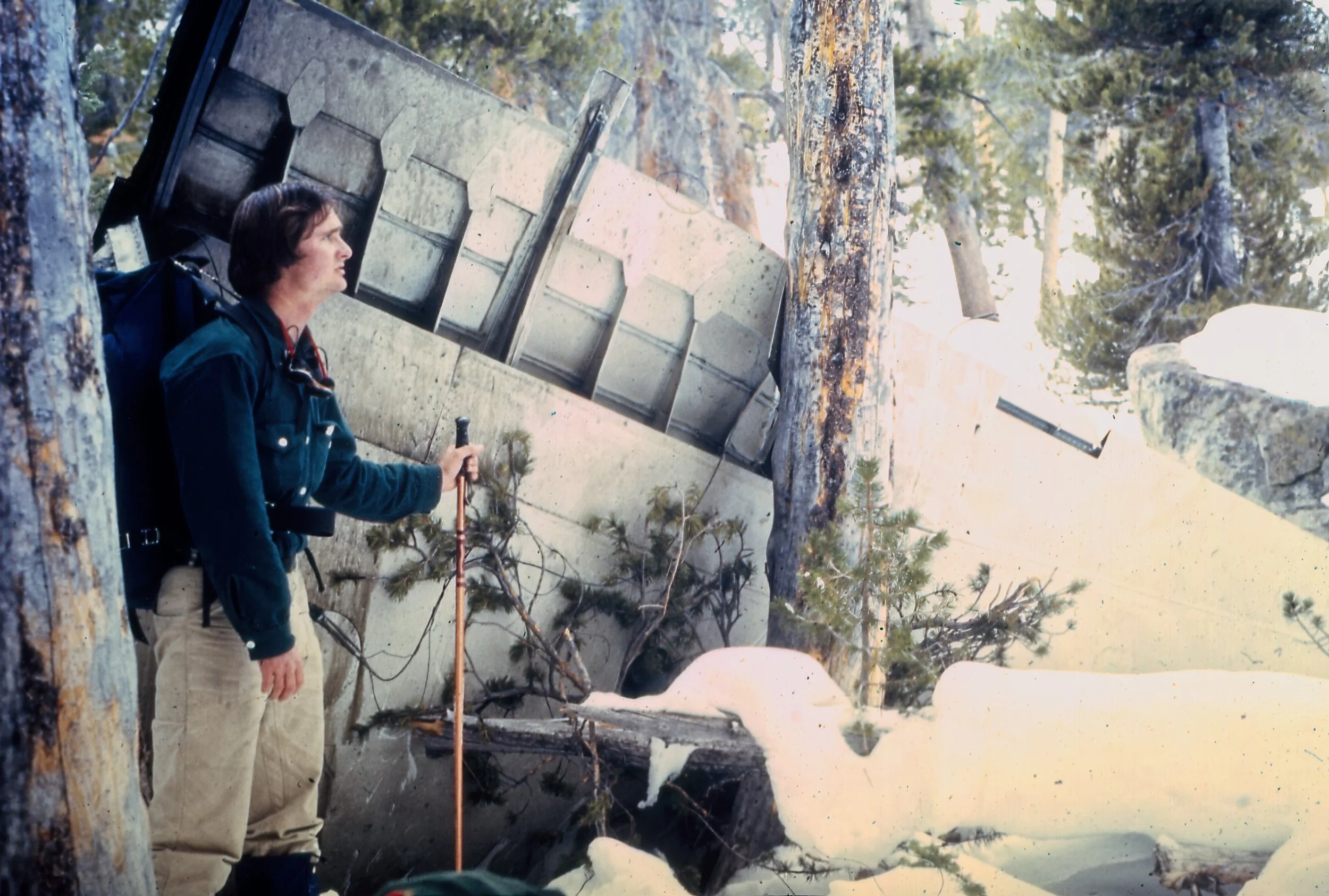 A person in outdoor gear holding a trekking pole, standing on snow-covered ground surrounded by tall trees, with a fallen log and a large metal structure in the background.
