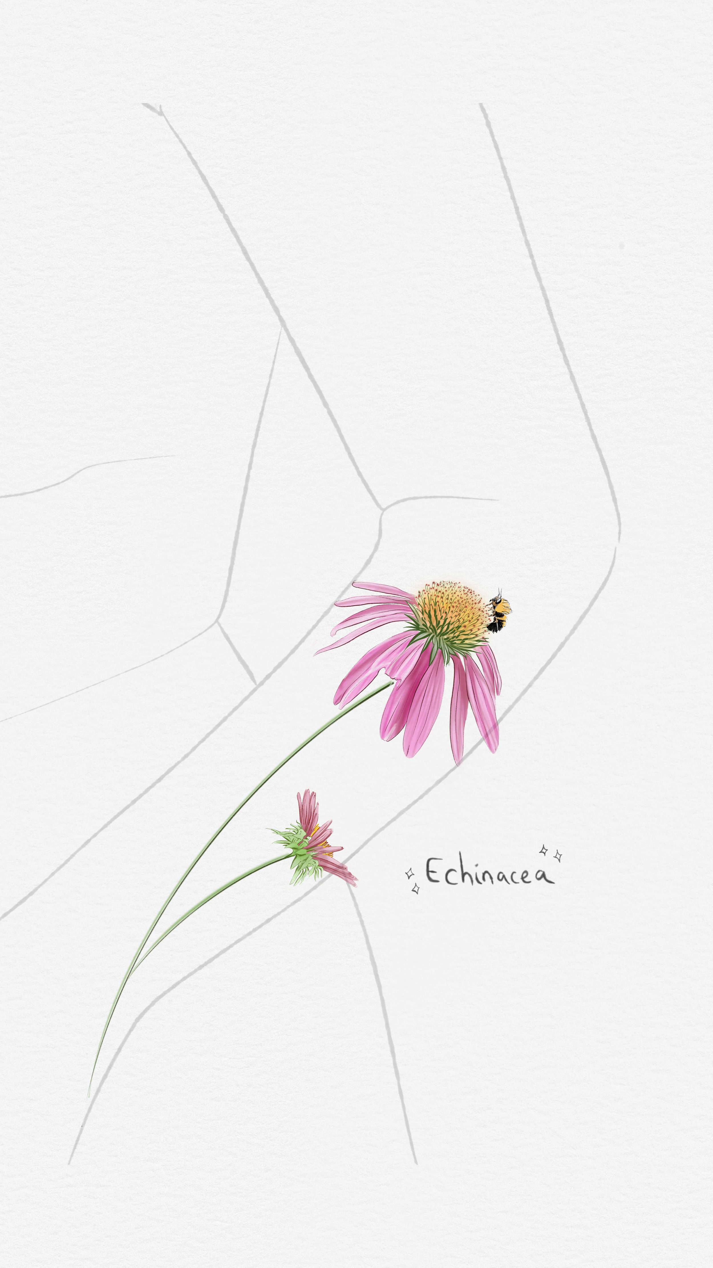 Untitled - July 10, 2026 18.48.20 4.PNG