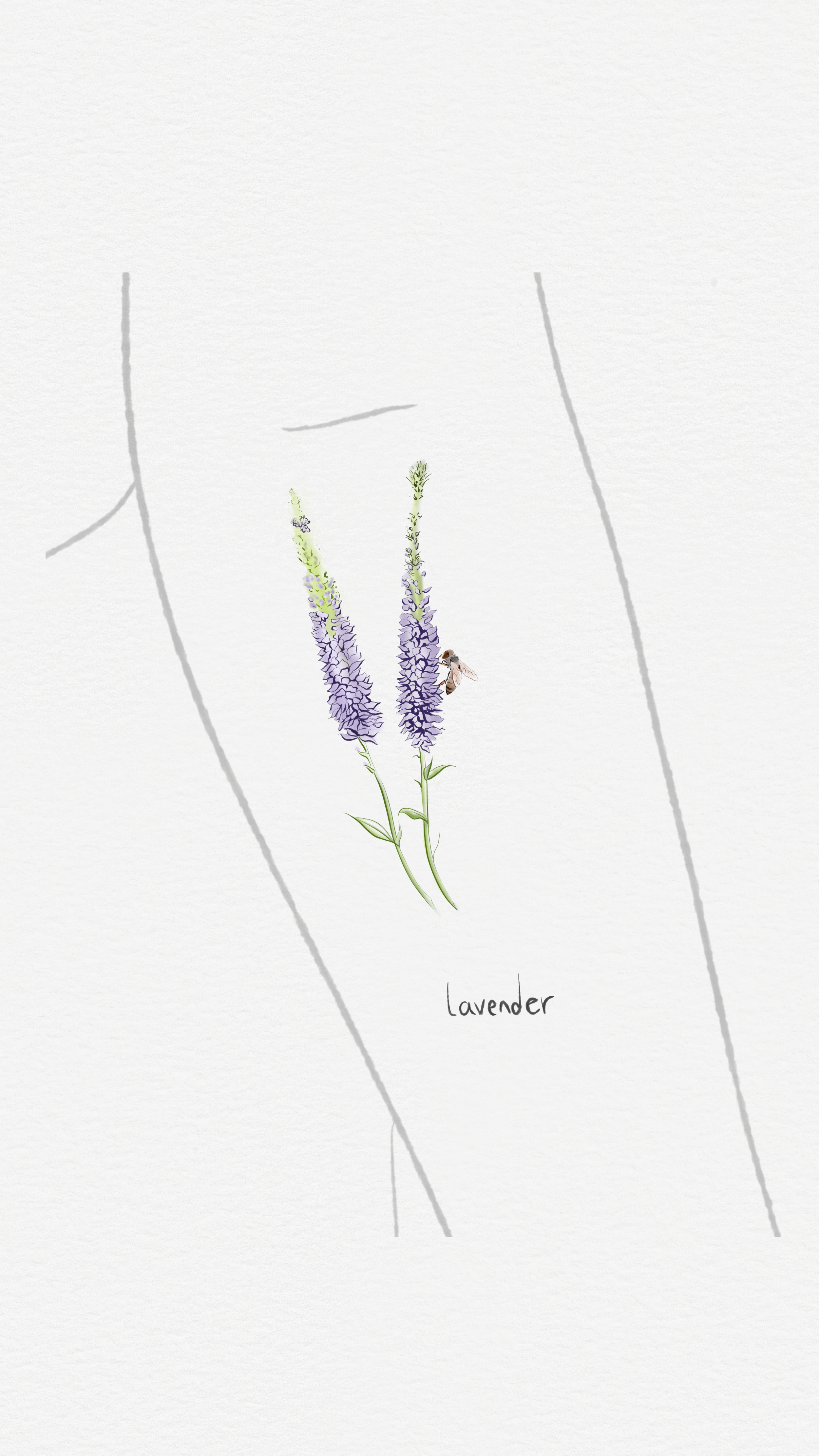 Untitled - July 10, 2026 18.48.20 3 copy.PNG