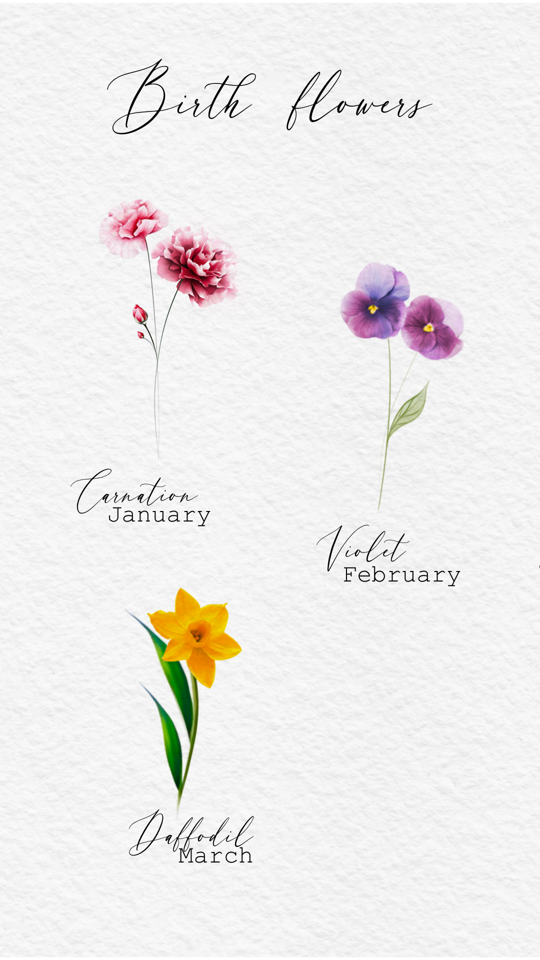 IMG_7167.PNG