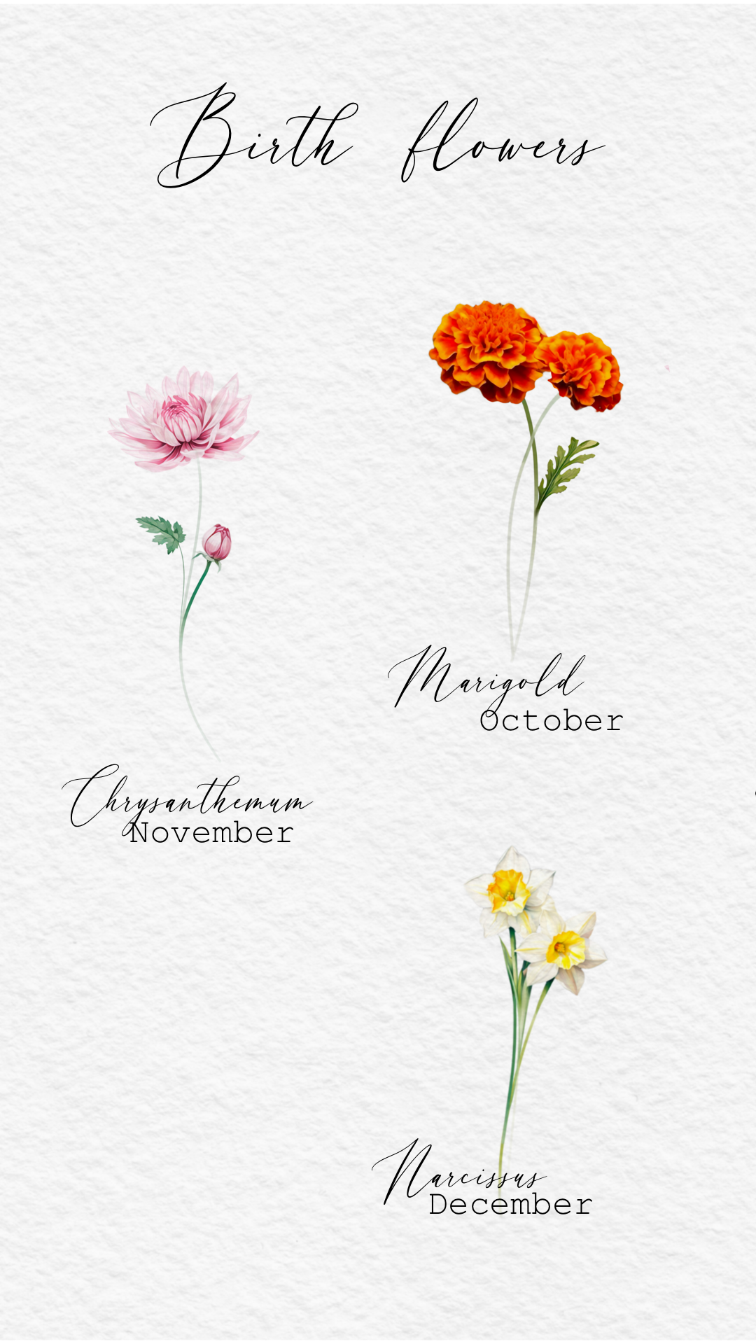 IMG_7170.PNG