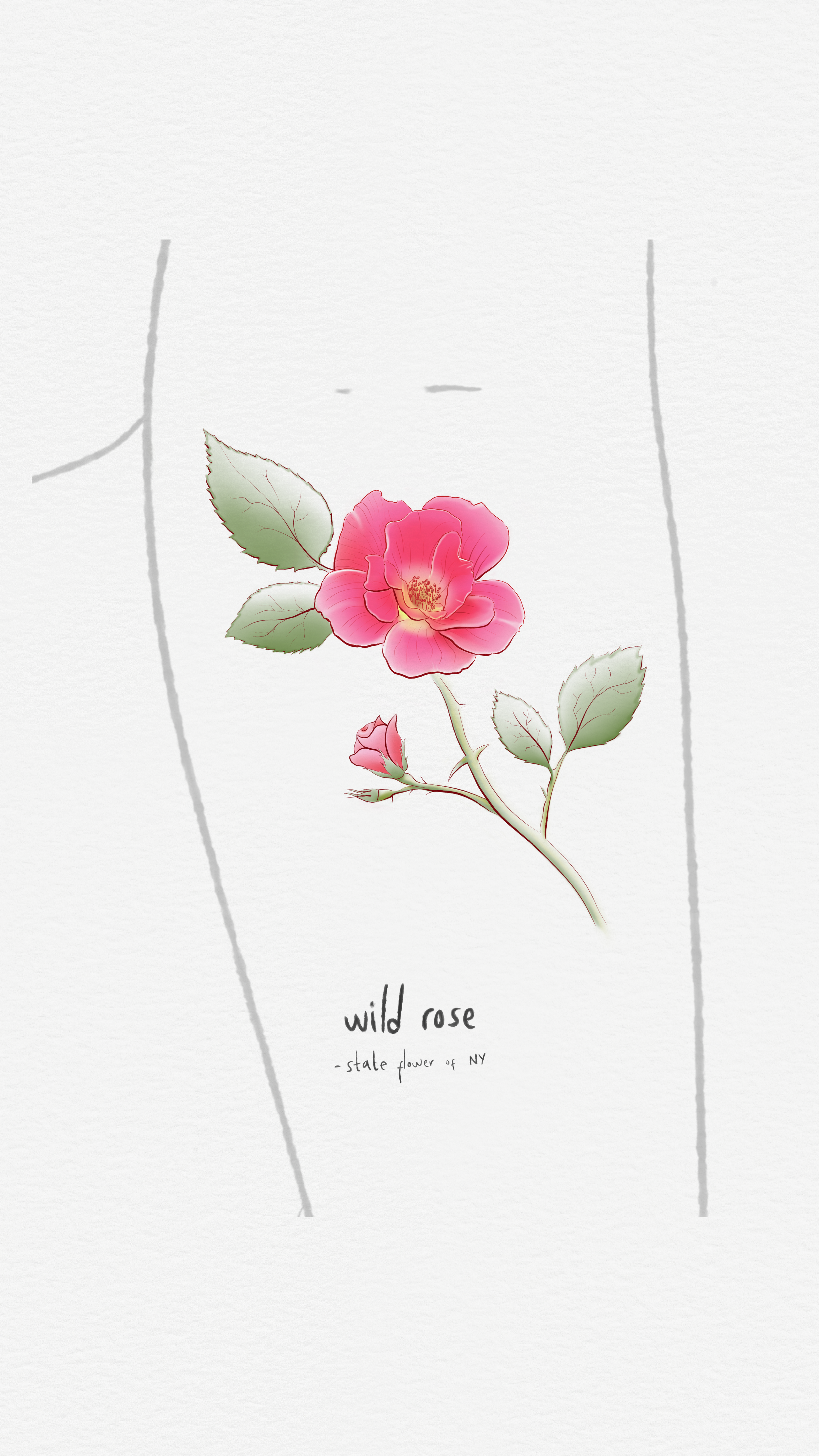 Untitled - July 10, 2026 18.48.20.PNG