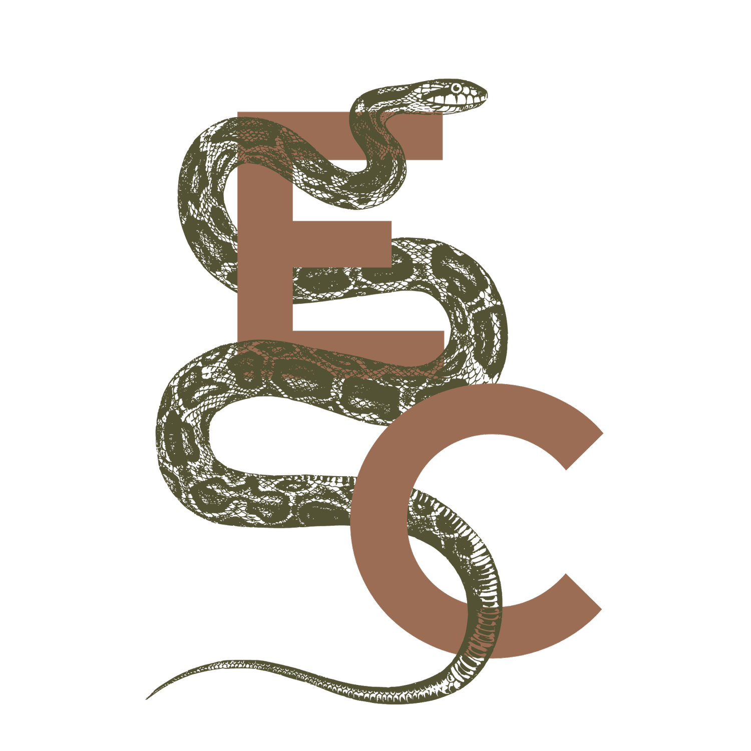 ecdysis creative - transformational storytelling (Copy)