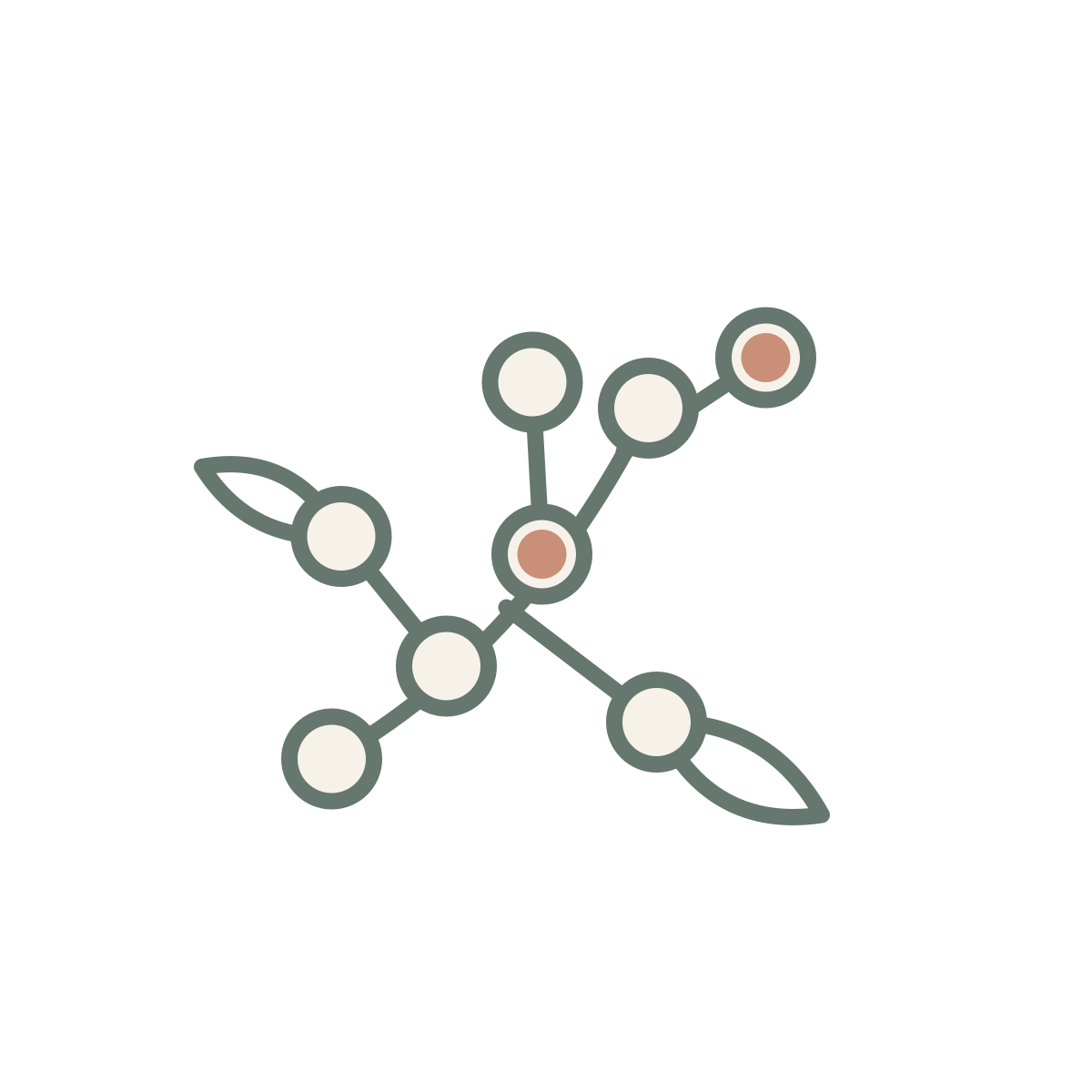 Simplified molecular structure diagram with connected circles representing atoms and lines representing bonds, with some circles shaded in light brown and others in cream color.