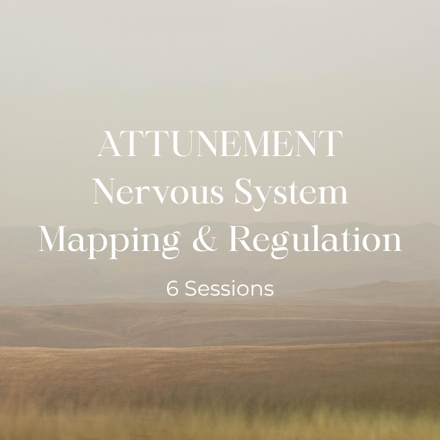Attunement: Nervous System Mapping & Regulation - Payment Plan