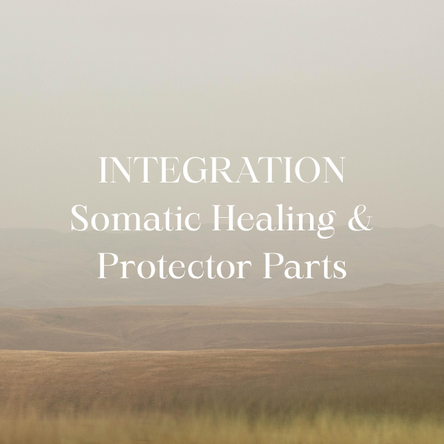 Integration: Somatic Healing & Protector Parts- Payment Plan