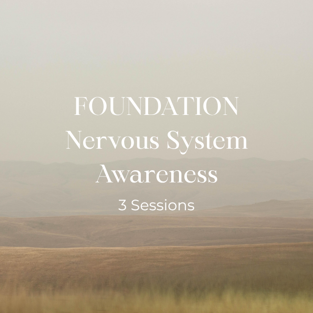 Foundation: Nervous System Awareness  - Payment Plan