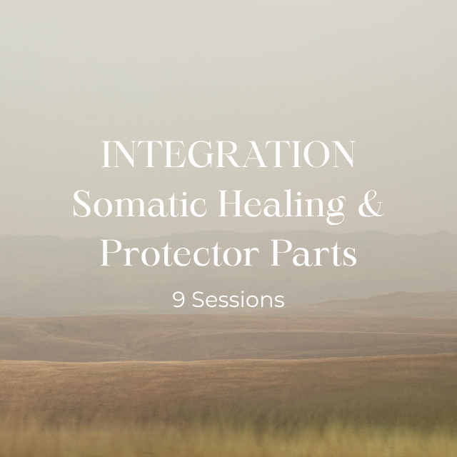 Integration: Somatic Healing & Protector Parts- Payment Plan