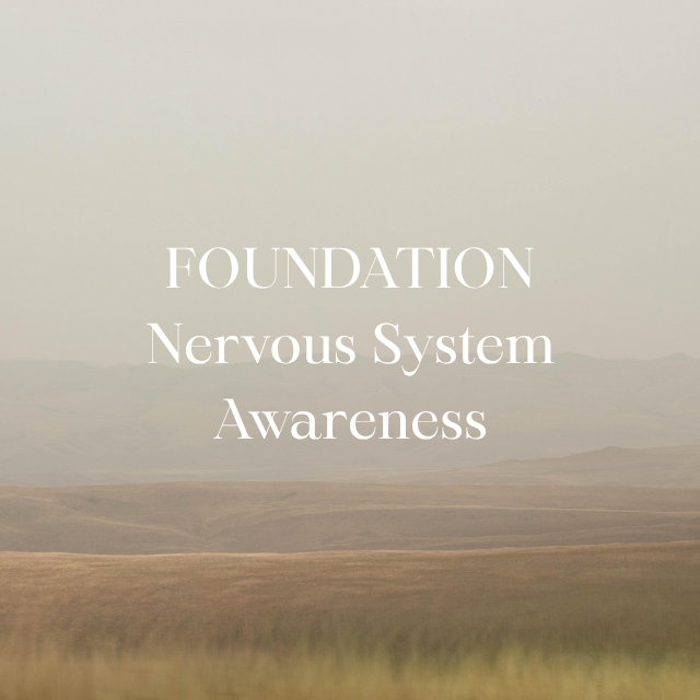 Foundation: Nervous System Awareness - Pay in Full