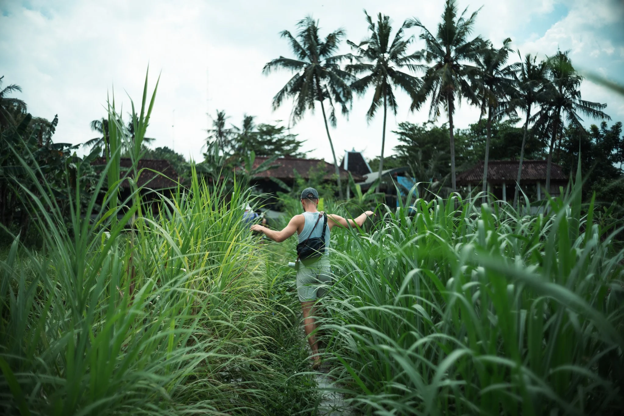 Man walking through tall green grass in a rural area with palm trees and houses in the background.