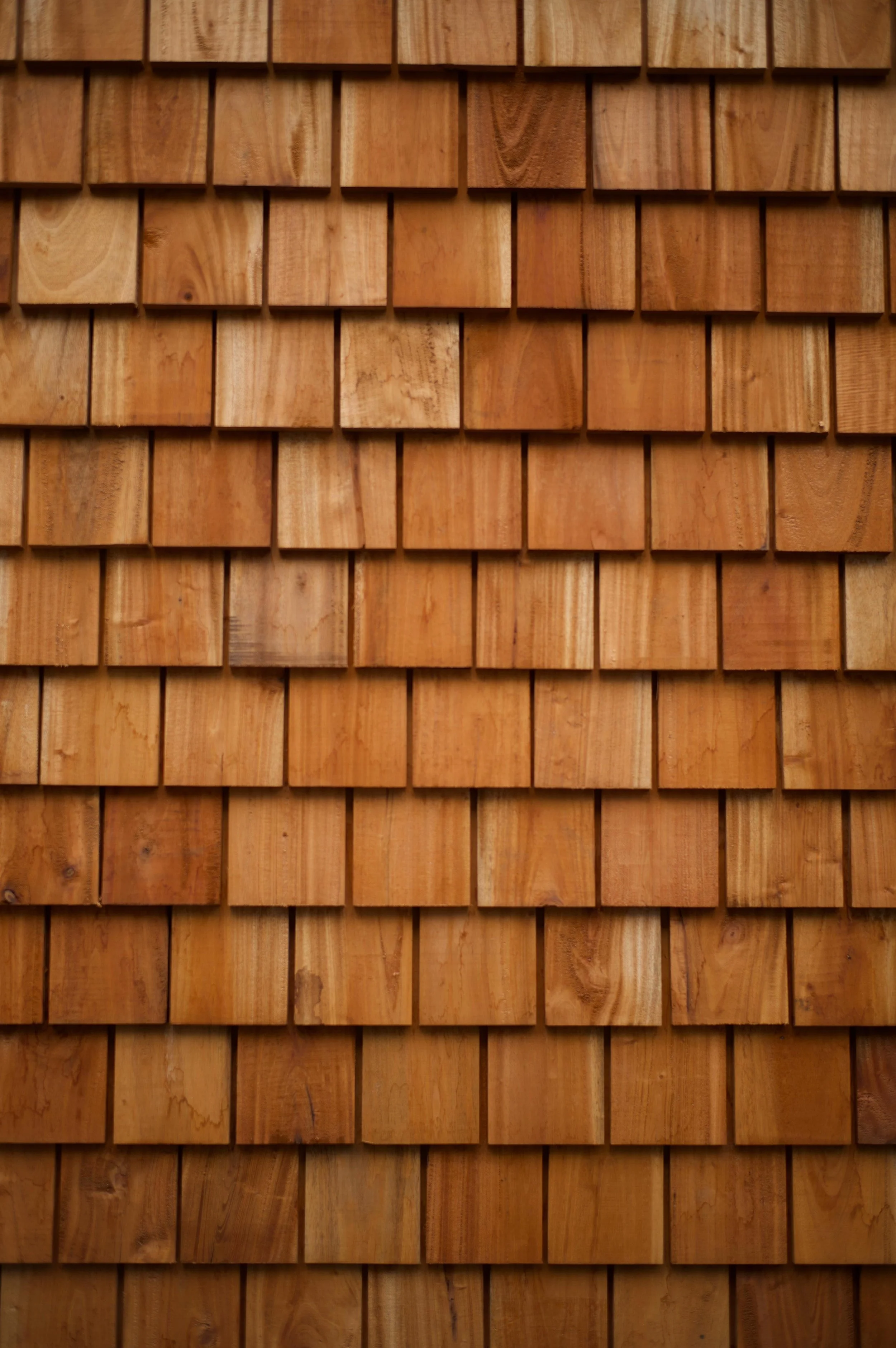 Close-up of a wall covered with evenly spaced, rectangular wooden shingles showing natural wood grain.