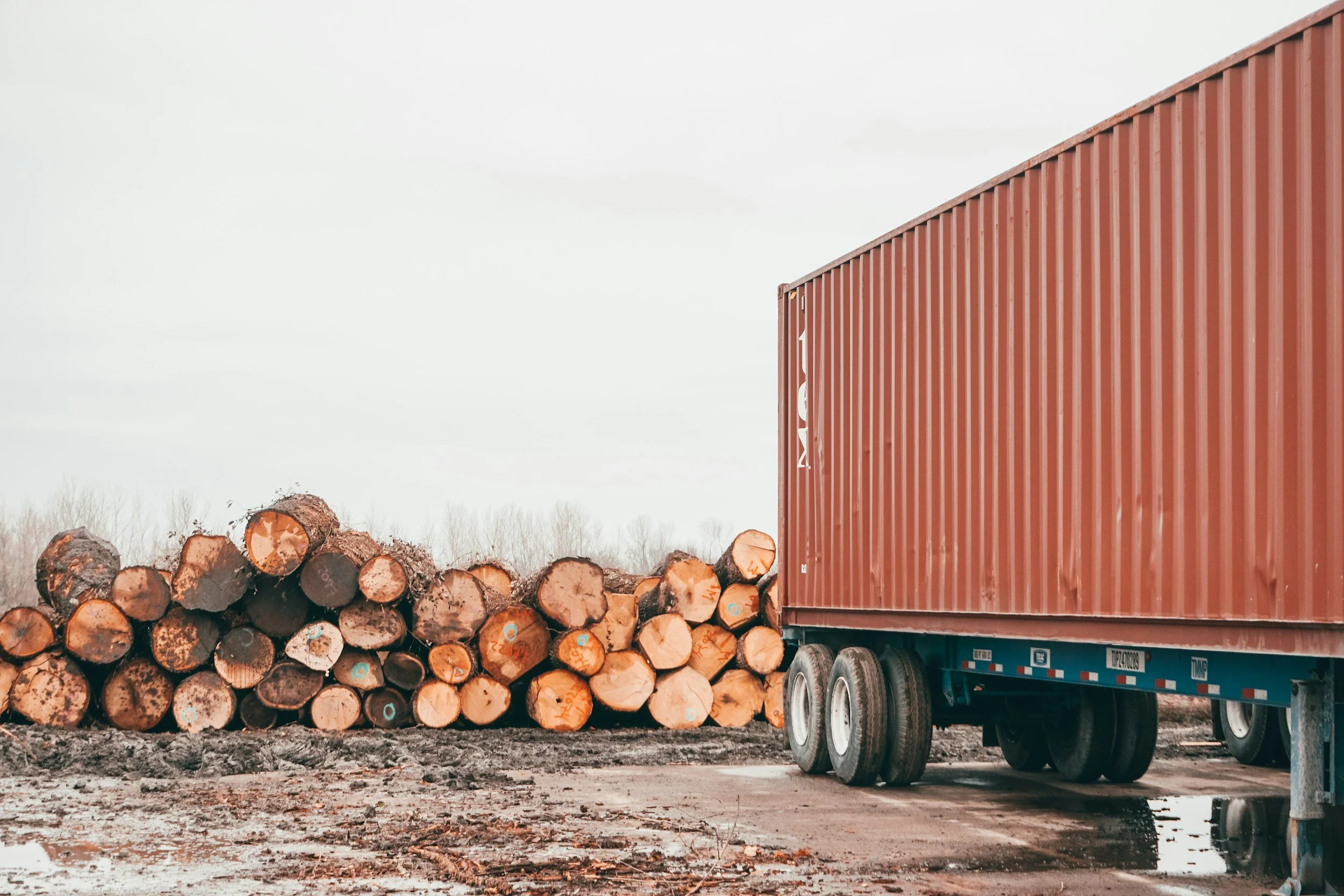 Stack of logs next to a red shipping container truck on muddy ground.