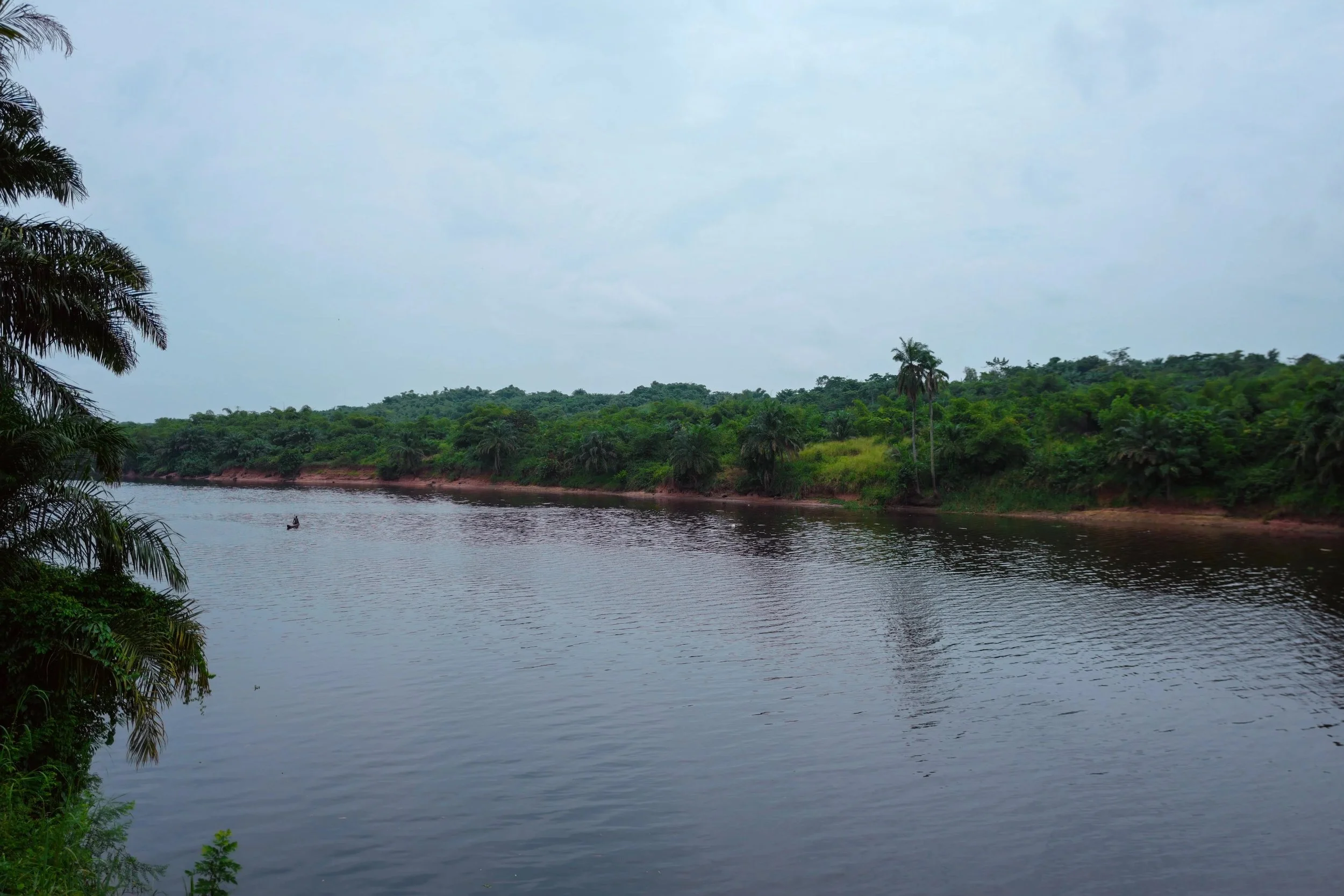 A river flowing through a lush green landscape with trees on the riverbank and a sky with some clouds above.