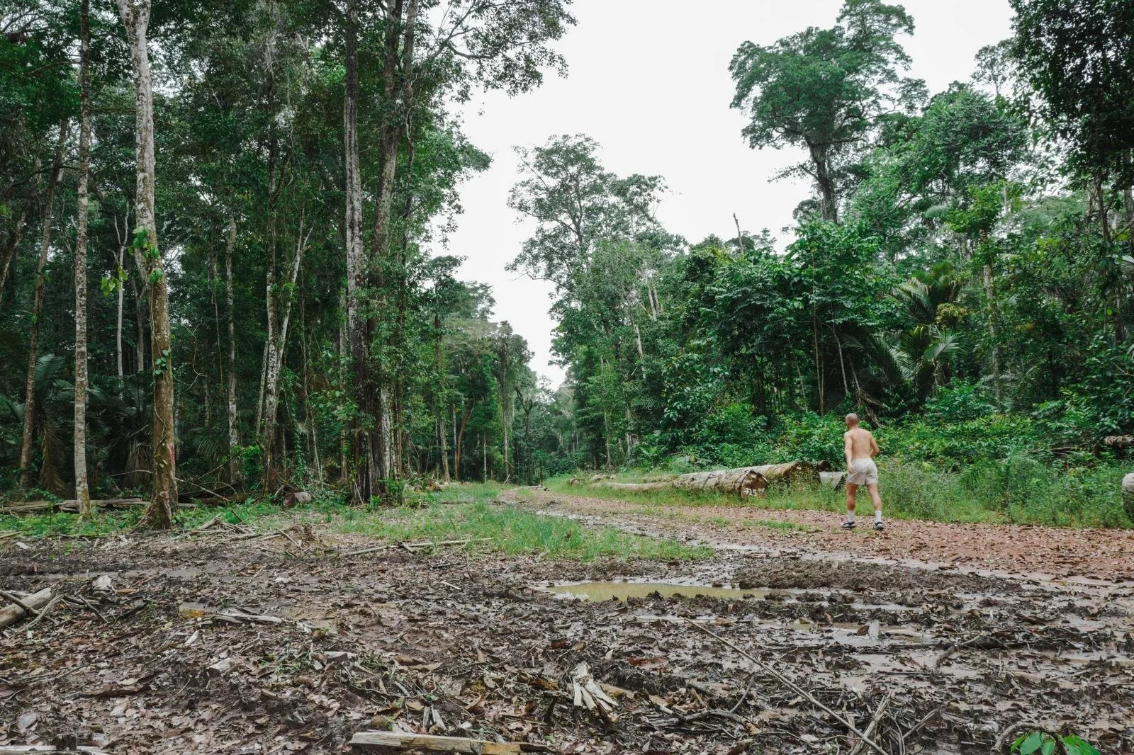 A man walking shirtless on a dirt trail in a dense green forest, with large trees and lush foliage.