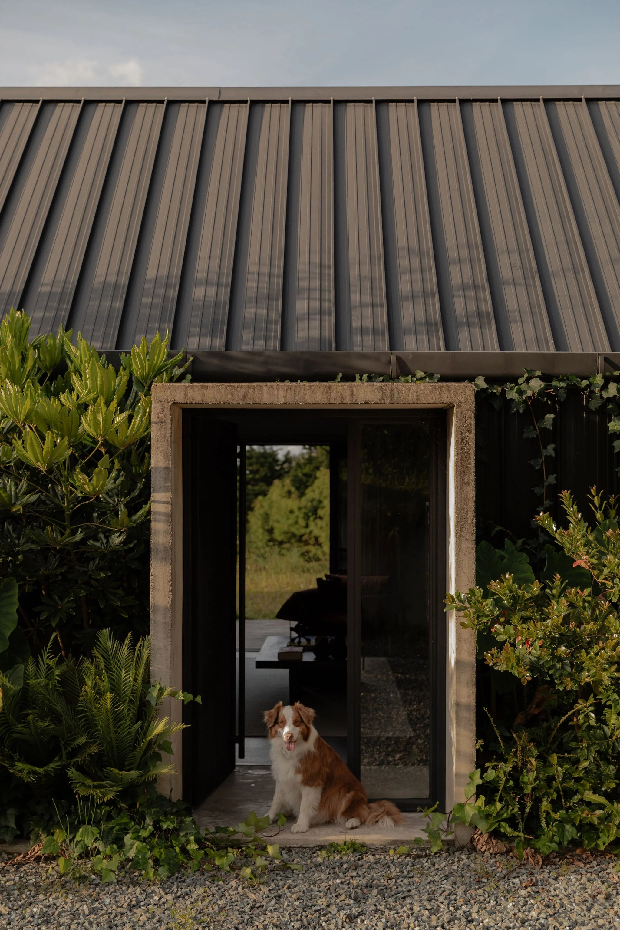 Montanuela_00_Fotografia_MateoSoto_72dpi.jpg