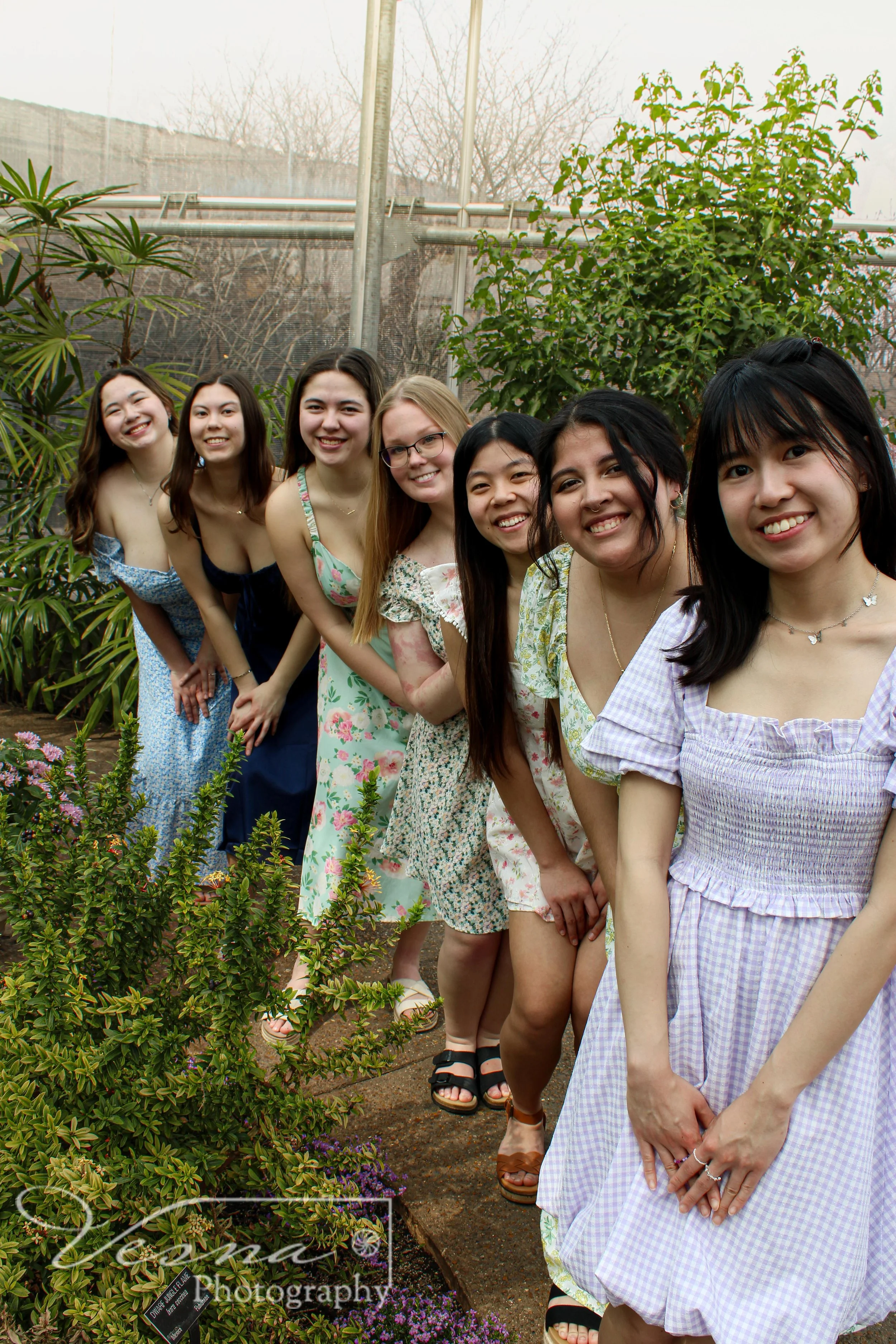 Blooming.DPhiL.Line.VP.jpg
