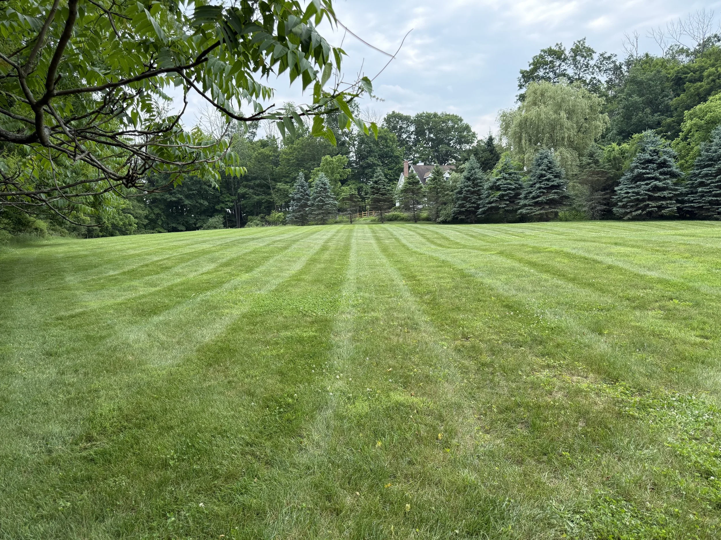 CRWD Landscaping Abilities 