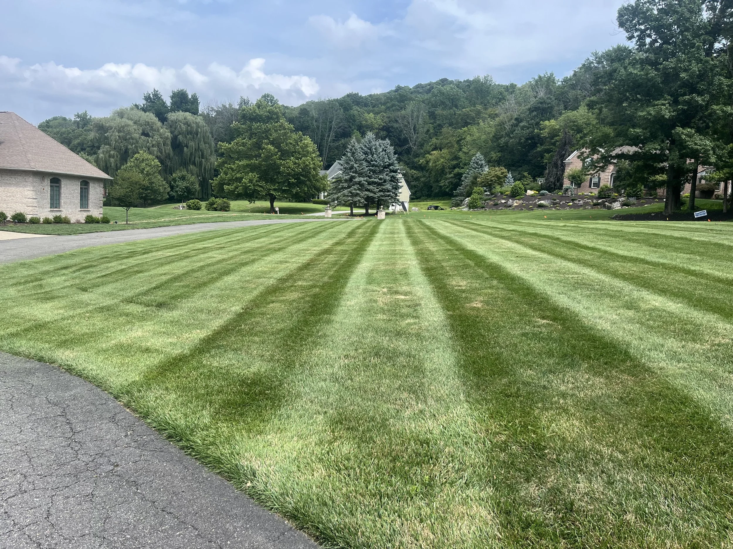 Landscaping