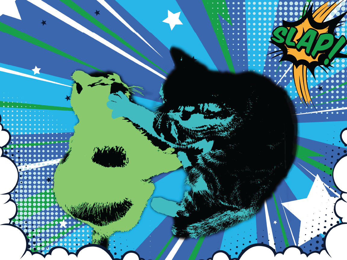 A comic-style artwork featuring two cats, one black and one green, seemingly fighting each other. The background includes colorful burst patterns, stars, and the word "SLAP!" in a comic speech bubble.
