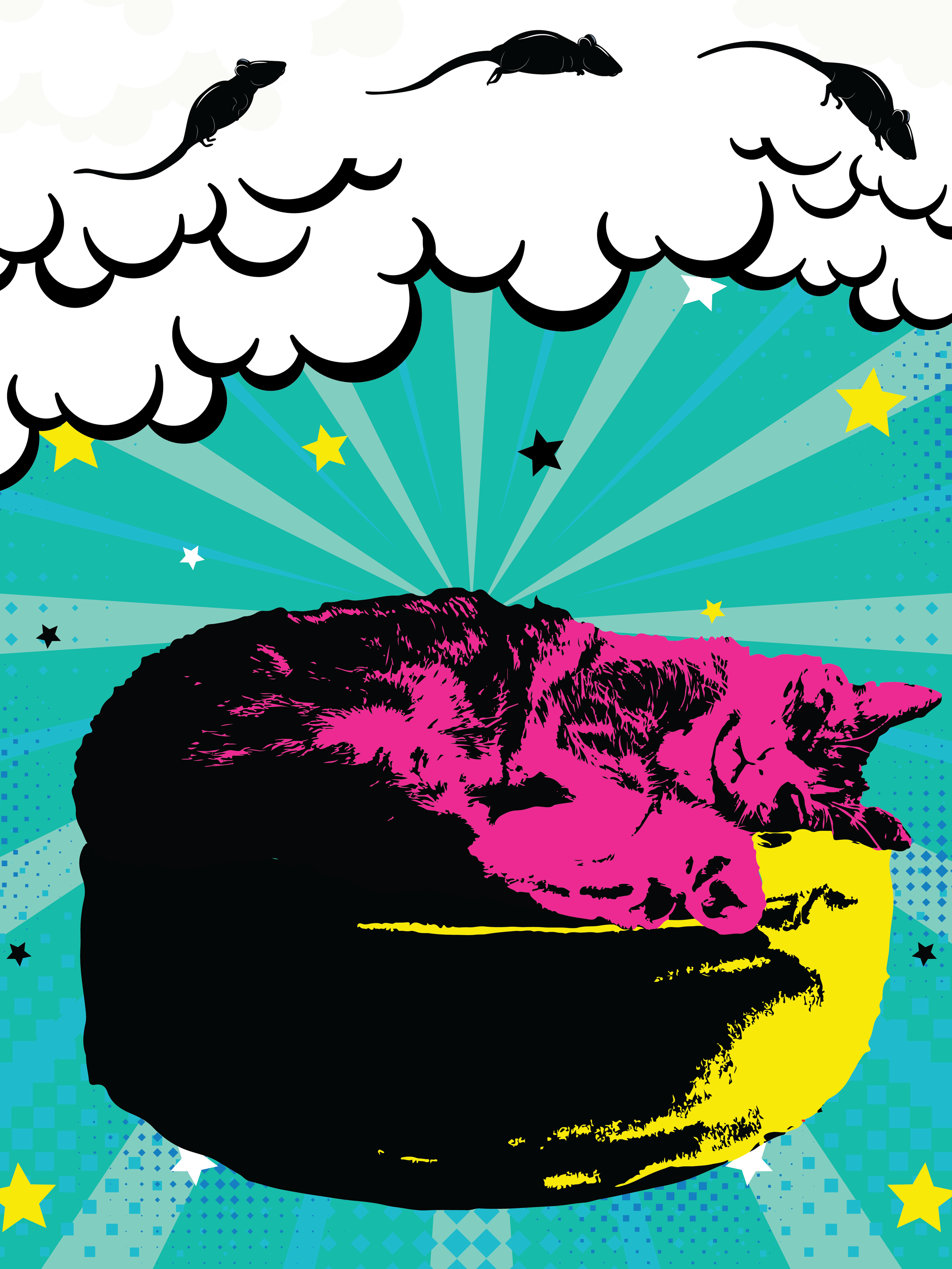 A colorful pop art style illustration of a sleeping cat with pink, purple, and yellow colors on its face, against a background of clouds, stars, and radiant lines in shades of blue and teal.