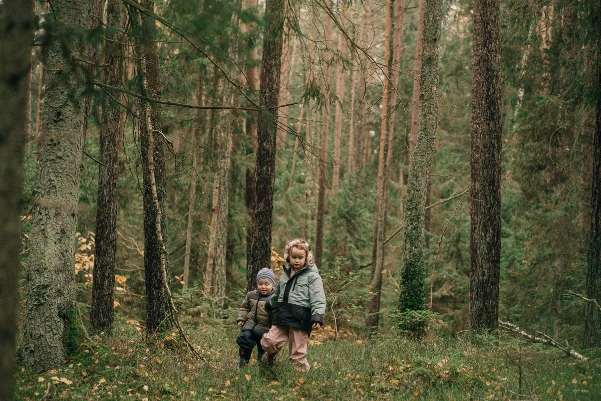 Two children walking in a dense forest with tall trees and green foliage.