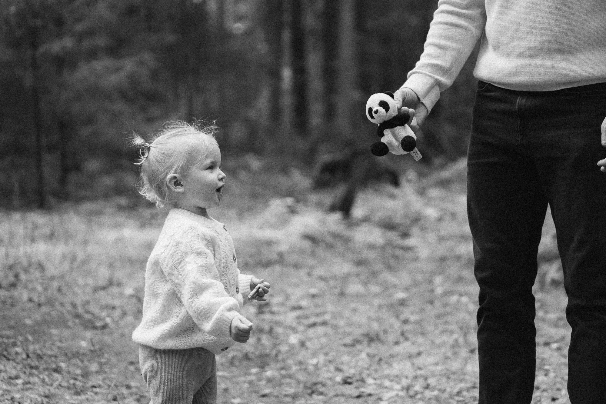A young girl with light hair and a sweater standing outdoors, looking at an adult holding a stuffed panda bear toy in front of her.