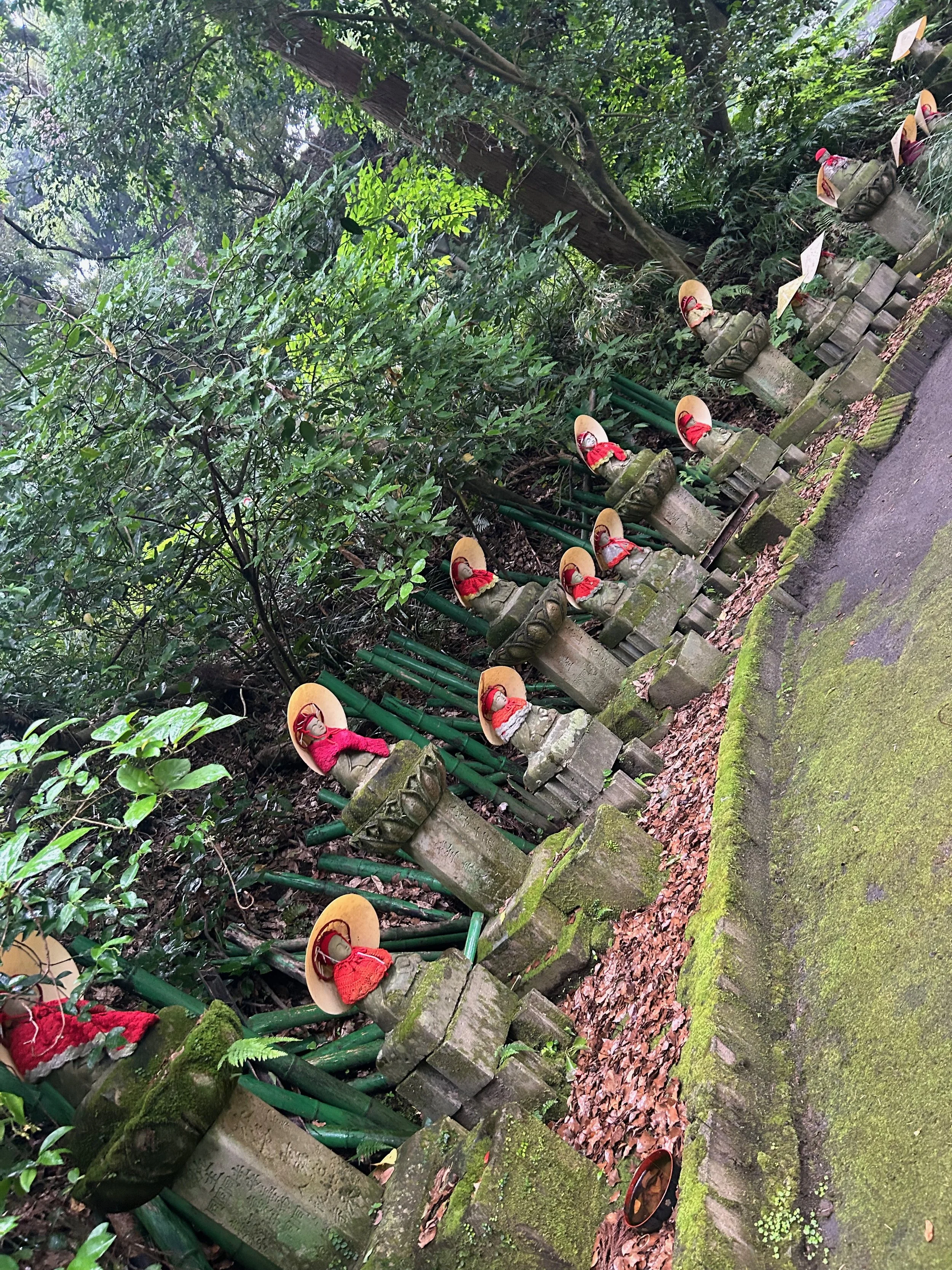Un día de tour por la tierra del último samurai: Kagoshima