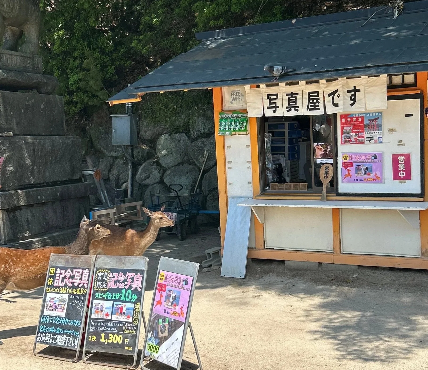 Recorrido por Hiroshima y Miyajima: Un día de emociones encontradas