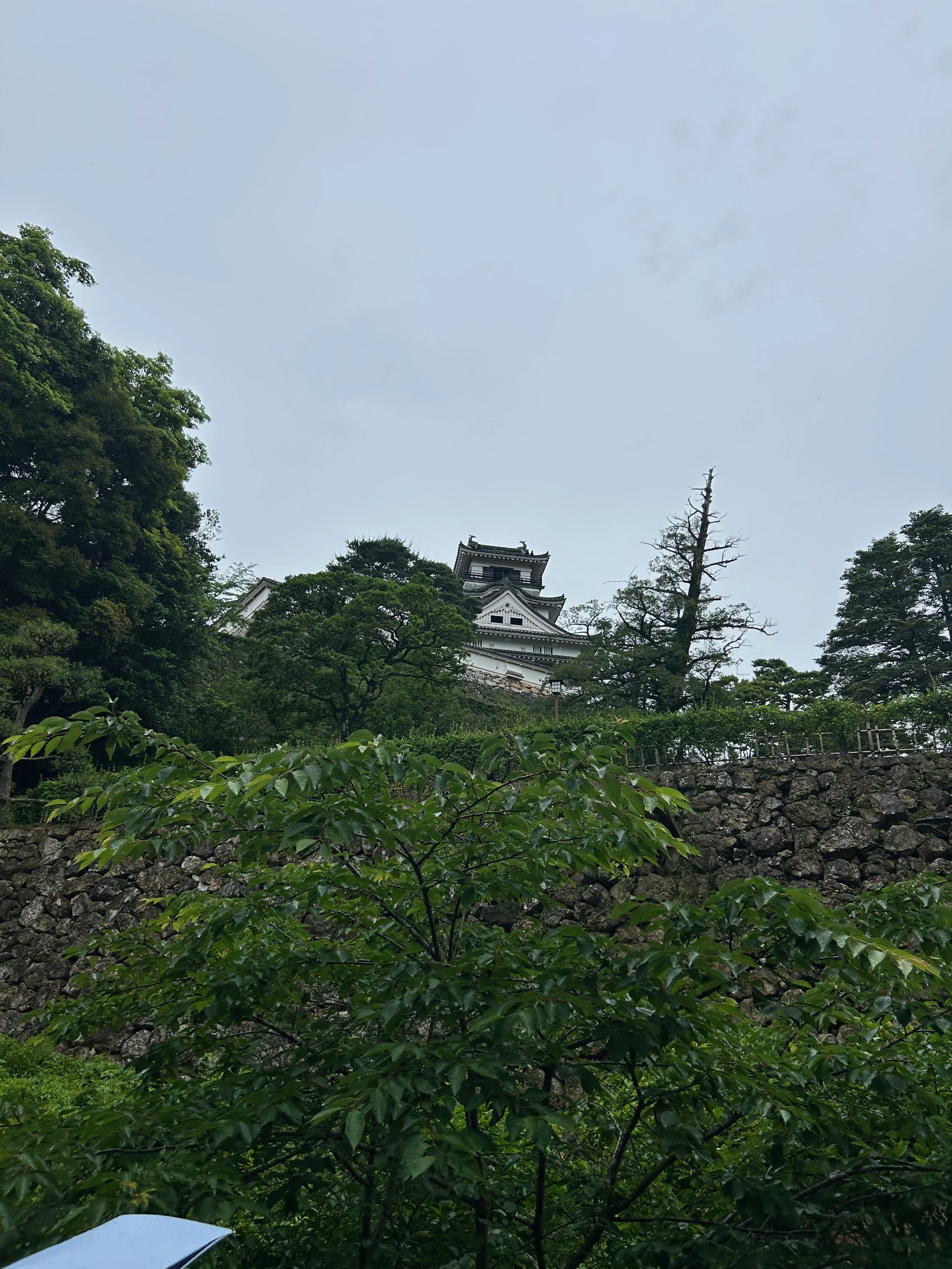 Un día en Kochi, Japón