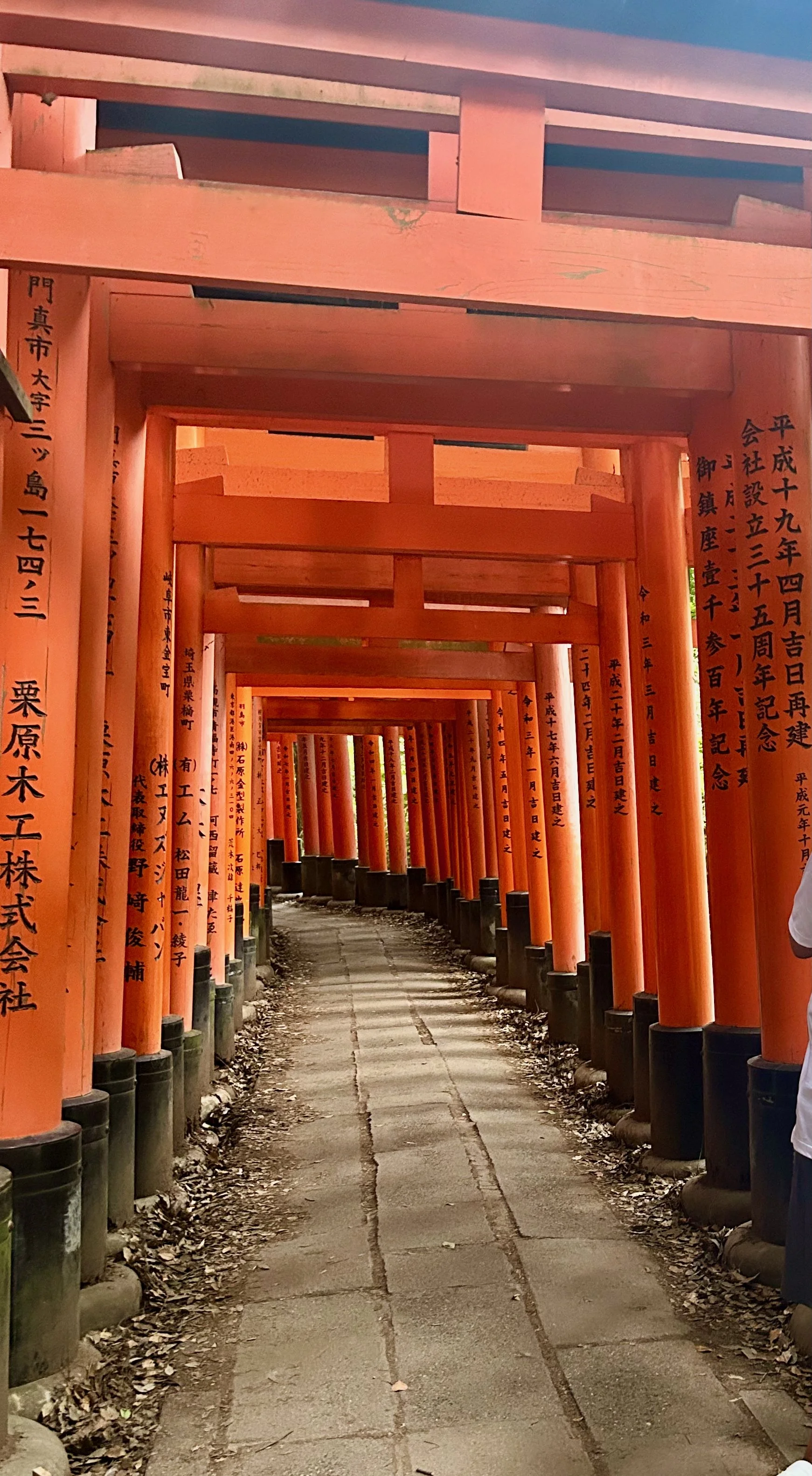 Un día inolvidable en Kioto: Tradición y magia en la antigua capital