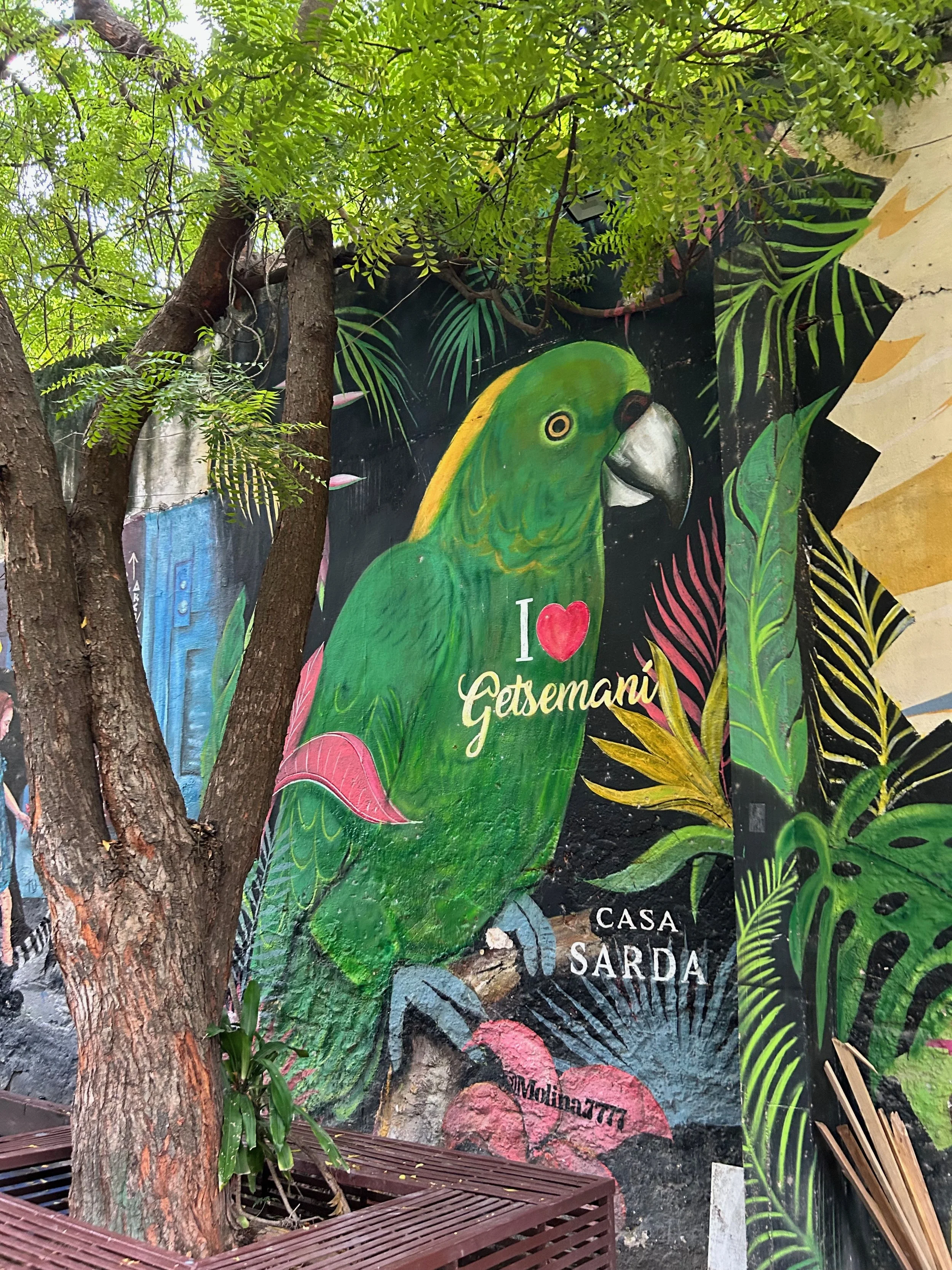 De paseo por el barrio de Getsemaní en Cartagena de Indias