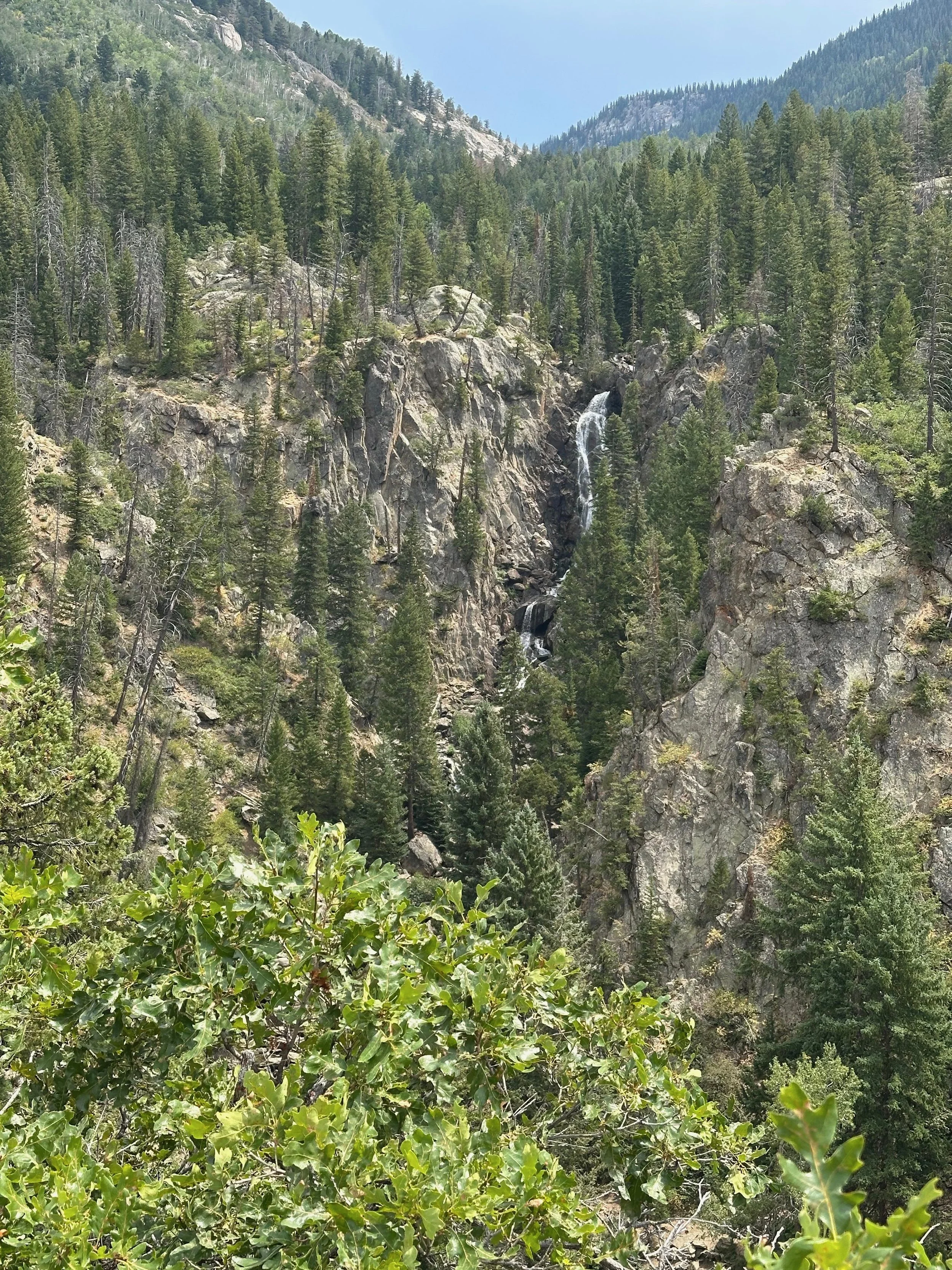 Steamboat Ski Resort en Steamboat Springs, Colorado