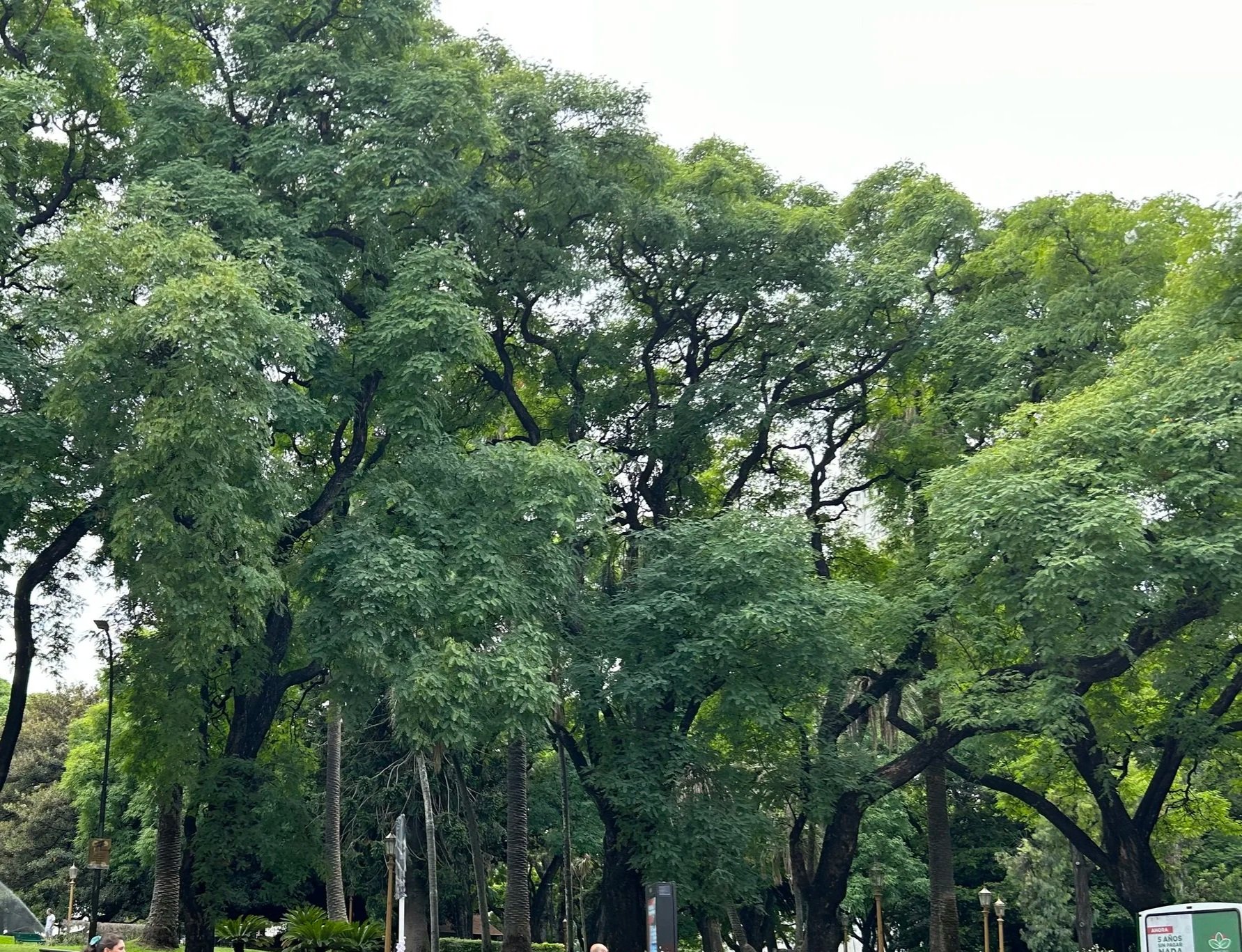 Descubriendo Buenos Aires: Itinerario Flexible para Toda la Familia