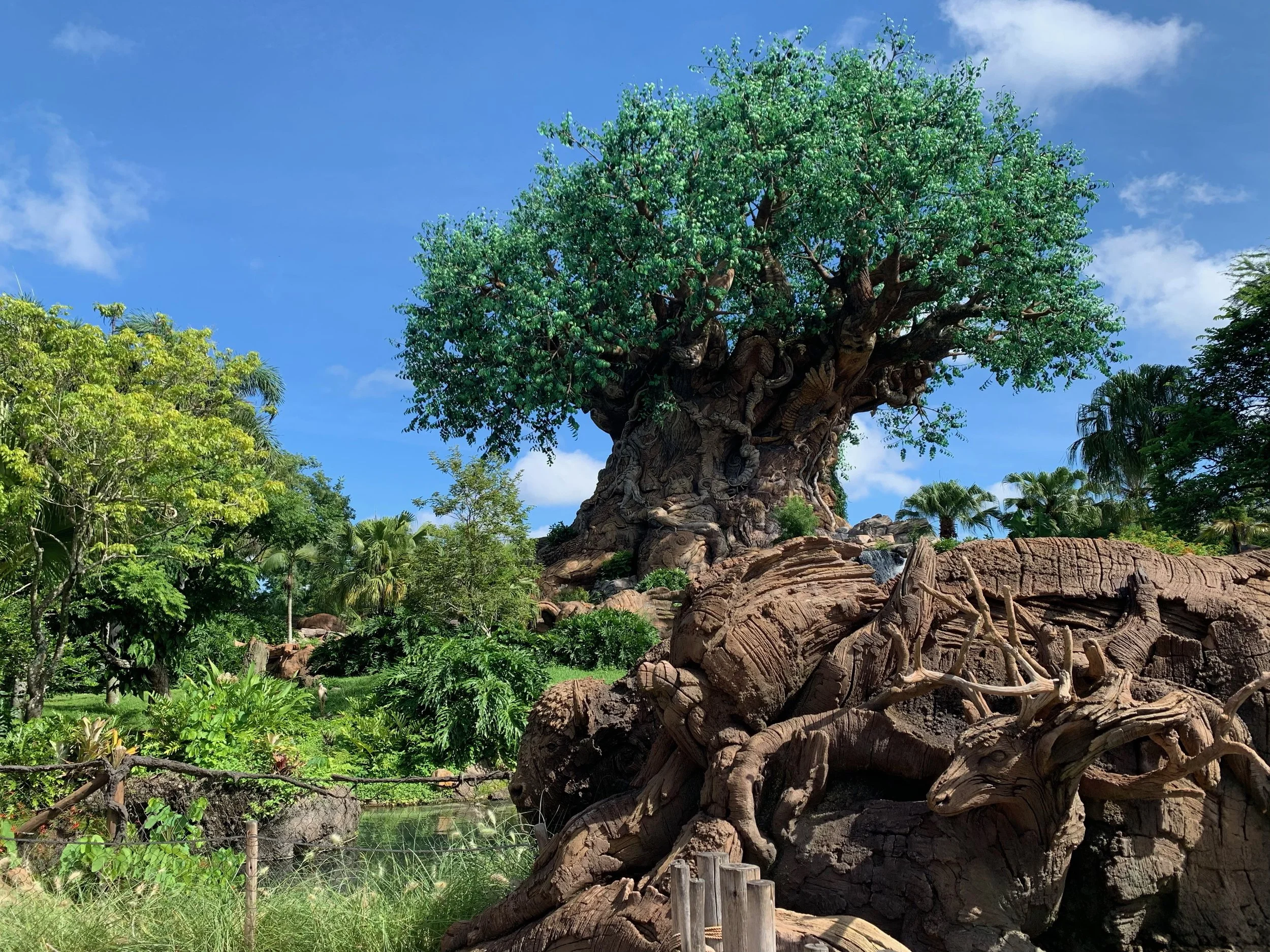 Animal Kingdom: Cómo Aprovechar un Día al Máximo