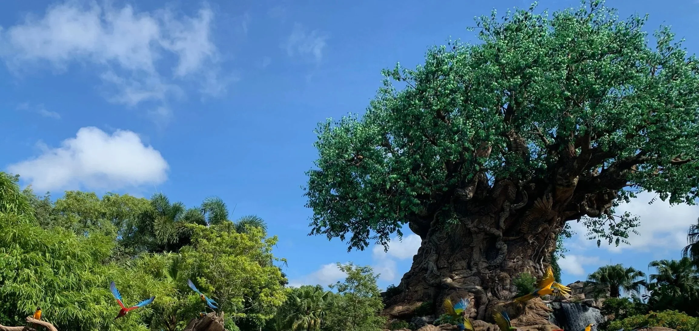 Guia de Animal Kingdom con Chicos Pequeños: Magia, Animales y Diversion Familiar