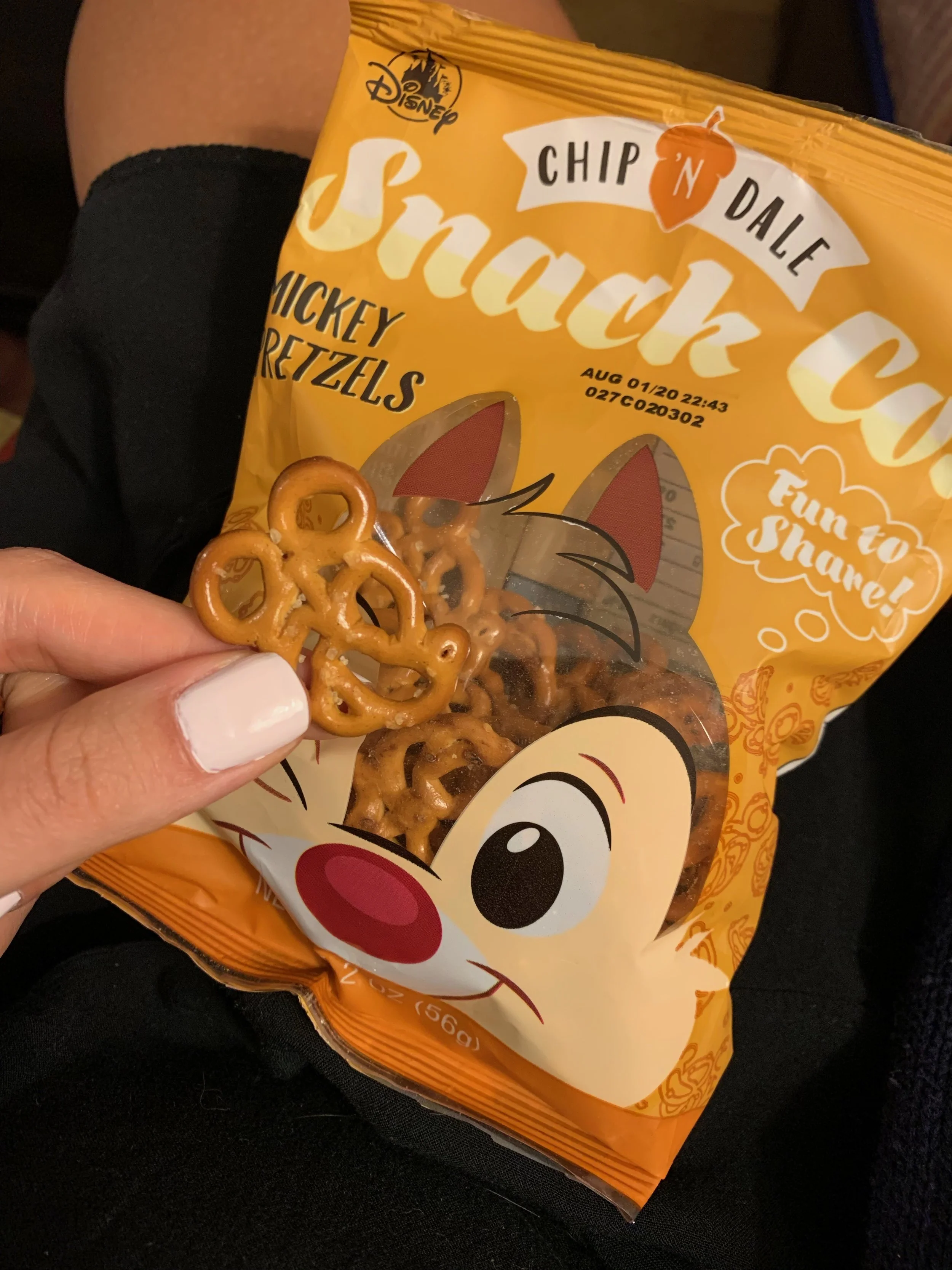 Snacks en los parques de Disney: Qué llevar y cómo ahorrar en tu visita. Sin pagar demás.