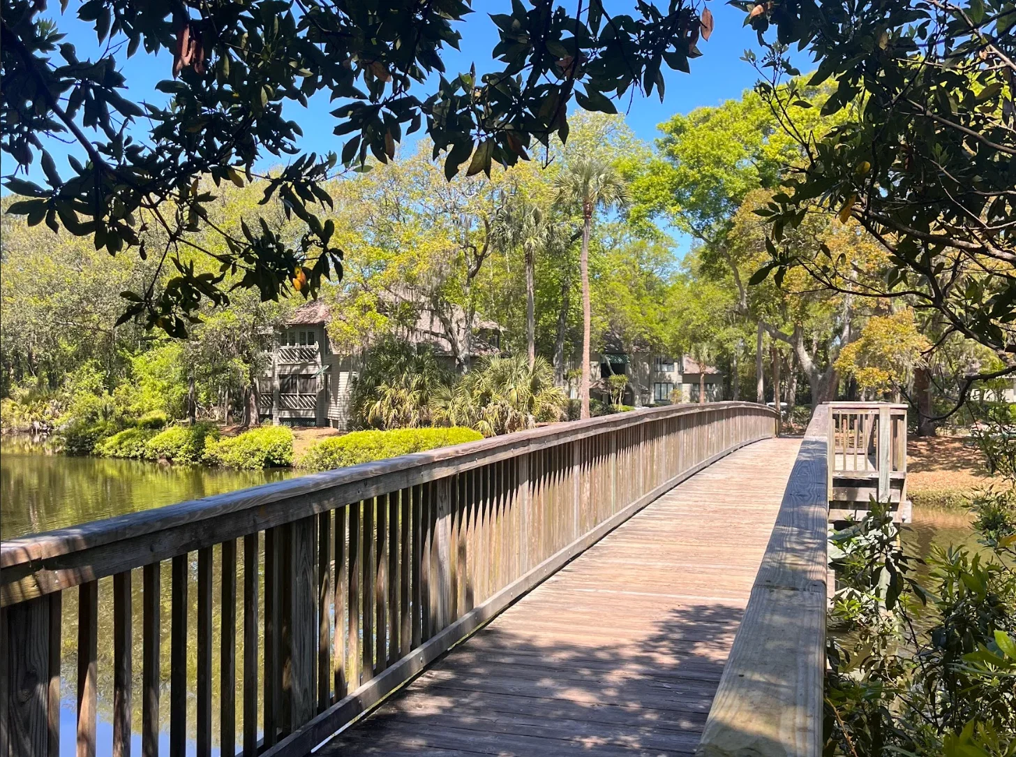 A wooden bridge over a body of water, surrounded by trees and residential buildings in the background, under a clear blue sky.