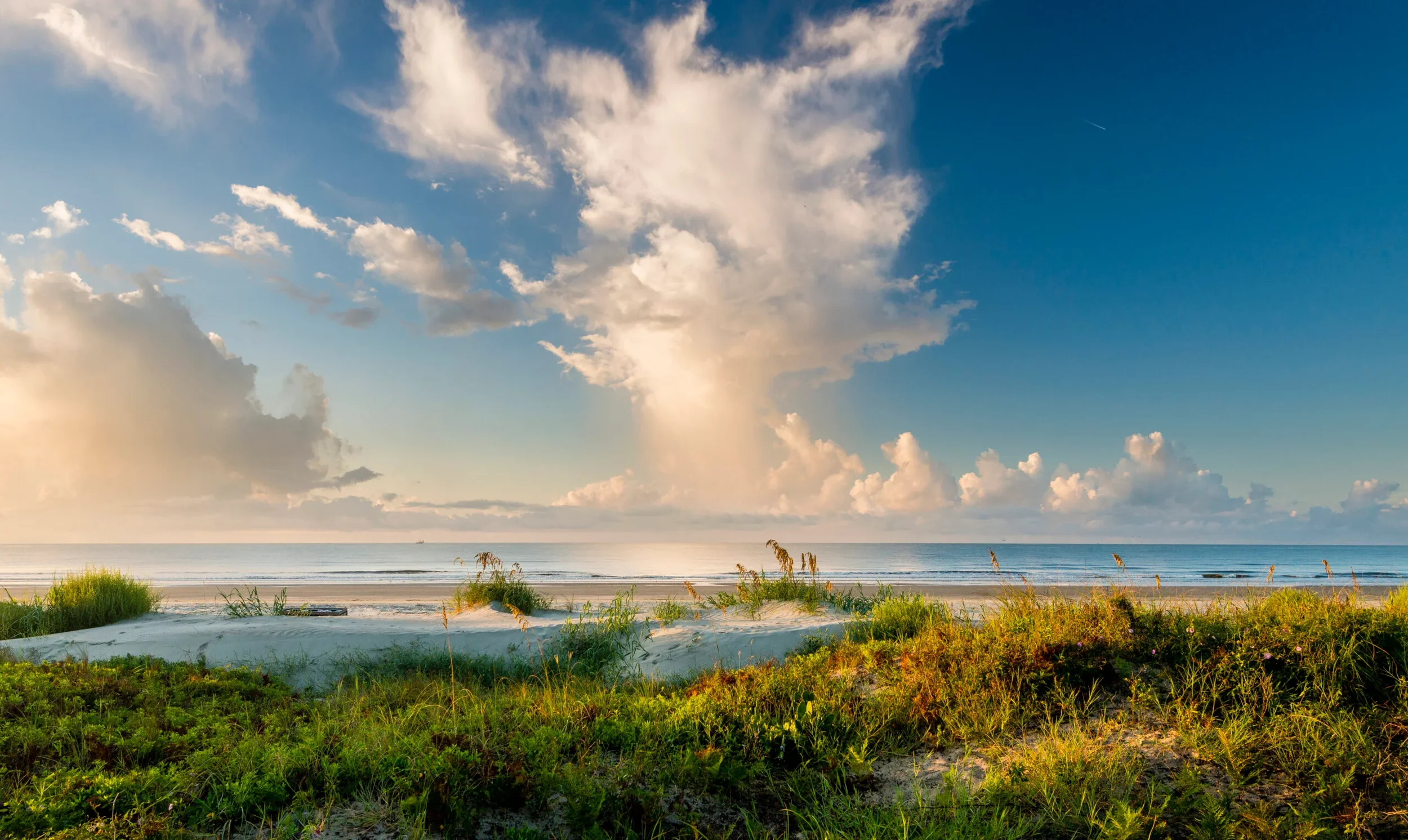 Seashore with sandy beach, green vegetation, and calm ocean waters under a partly cloudy sky with sunlight.