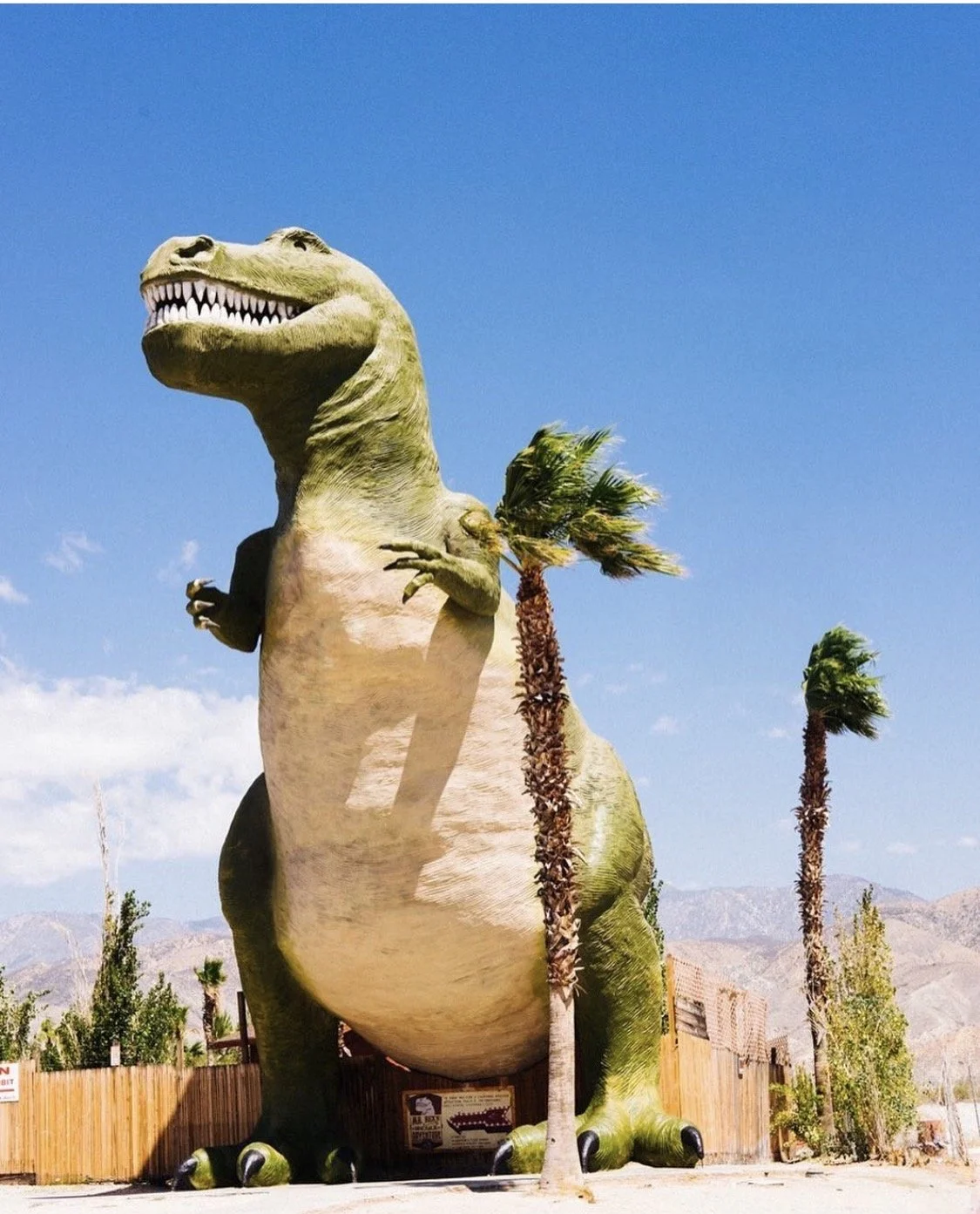 A giant T-Rex statue in a desert landscape with mountains in the background, surrounded by palm trees and a wooden fence.