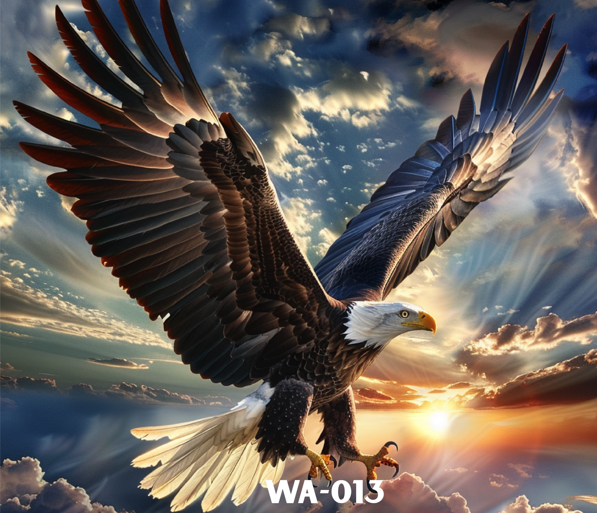 A bald eagle with its wings spread wide flying against a background of a cloudy sky at sunset.