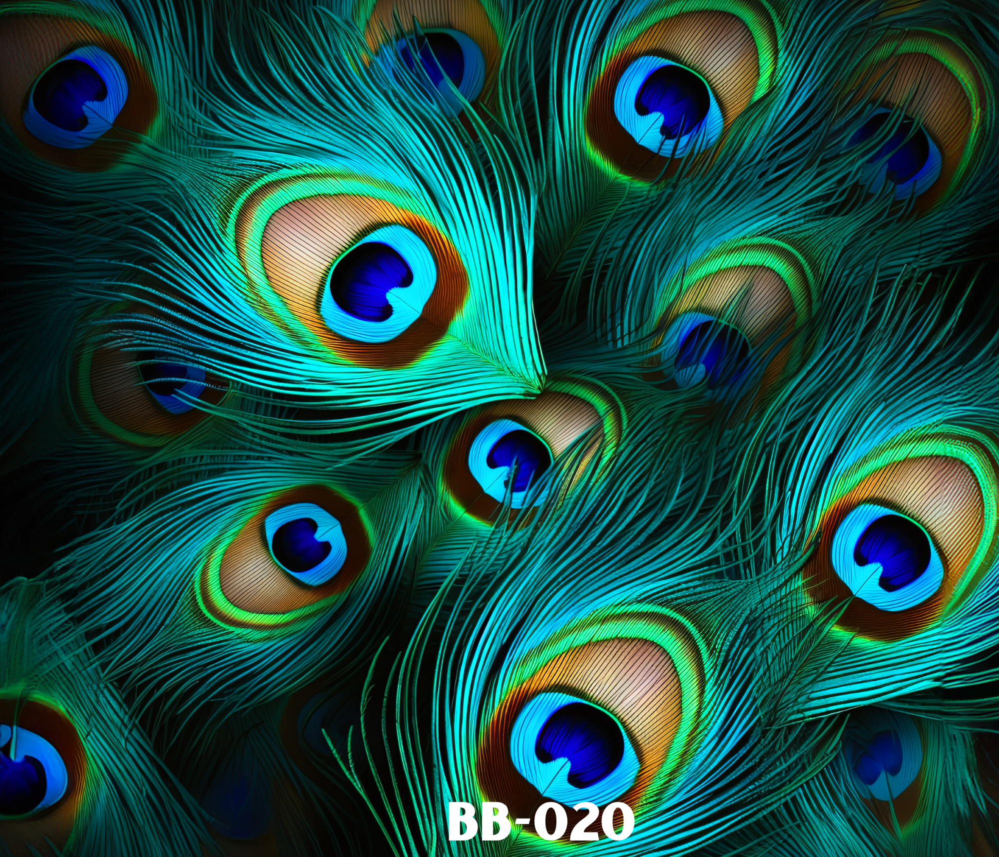 Close-up of peacock feathers with vibrant blue, green, and gold eye patterns.