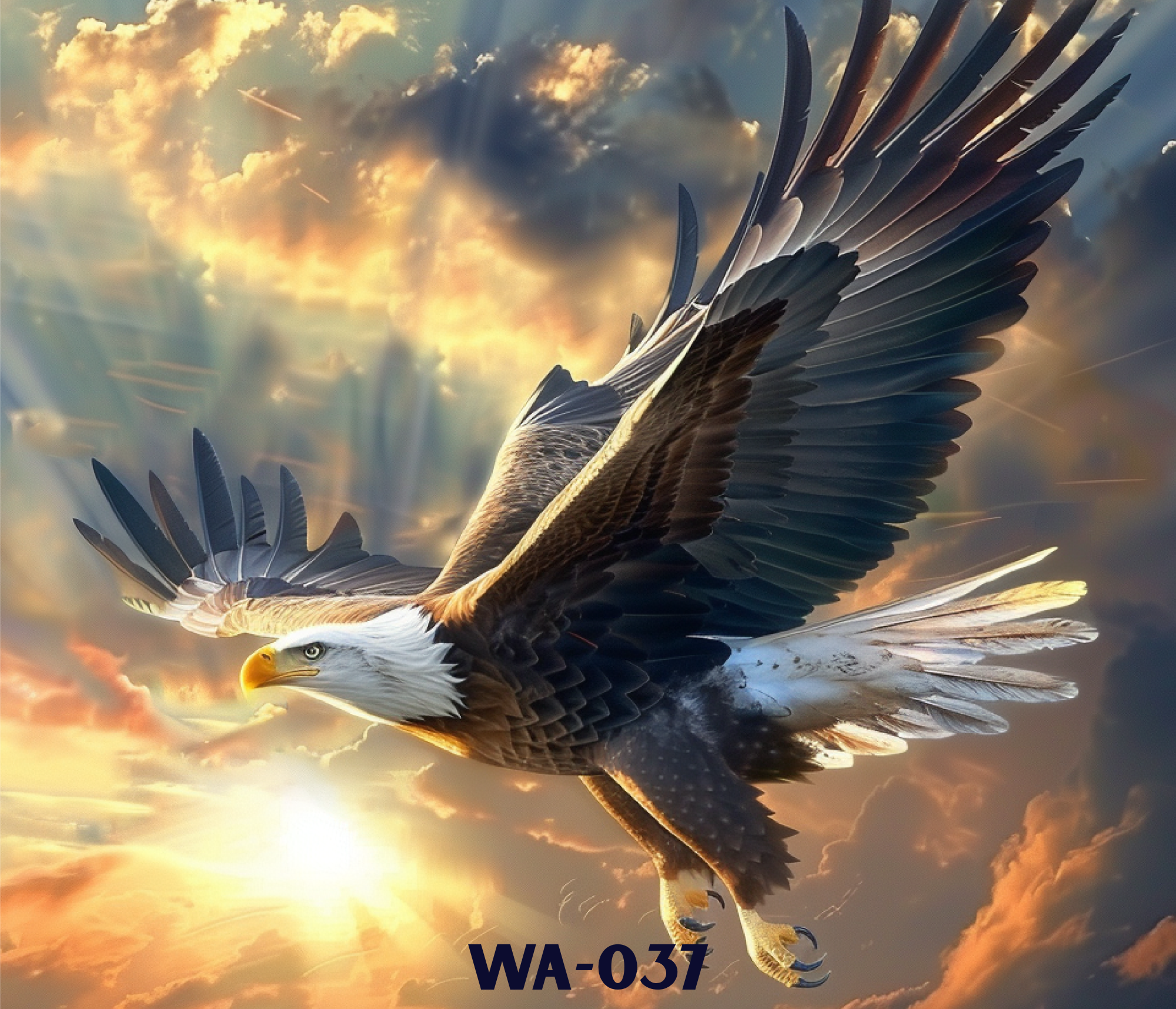 A bald eagle soaring through the sky with its wings spread wide during a sunset, clouds illuminated by the golden light