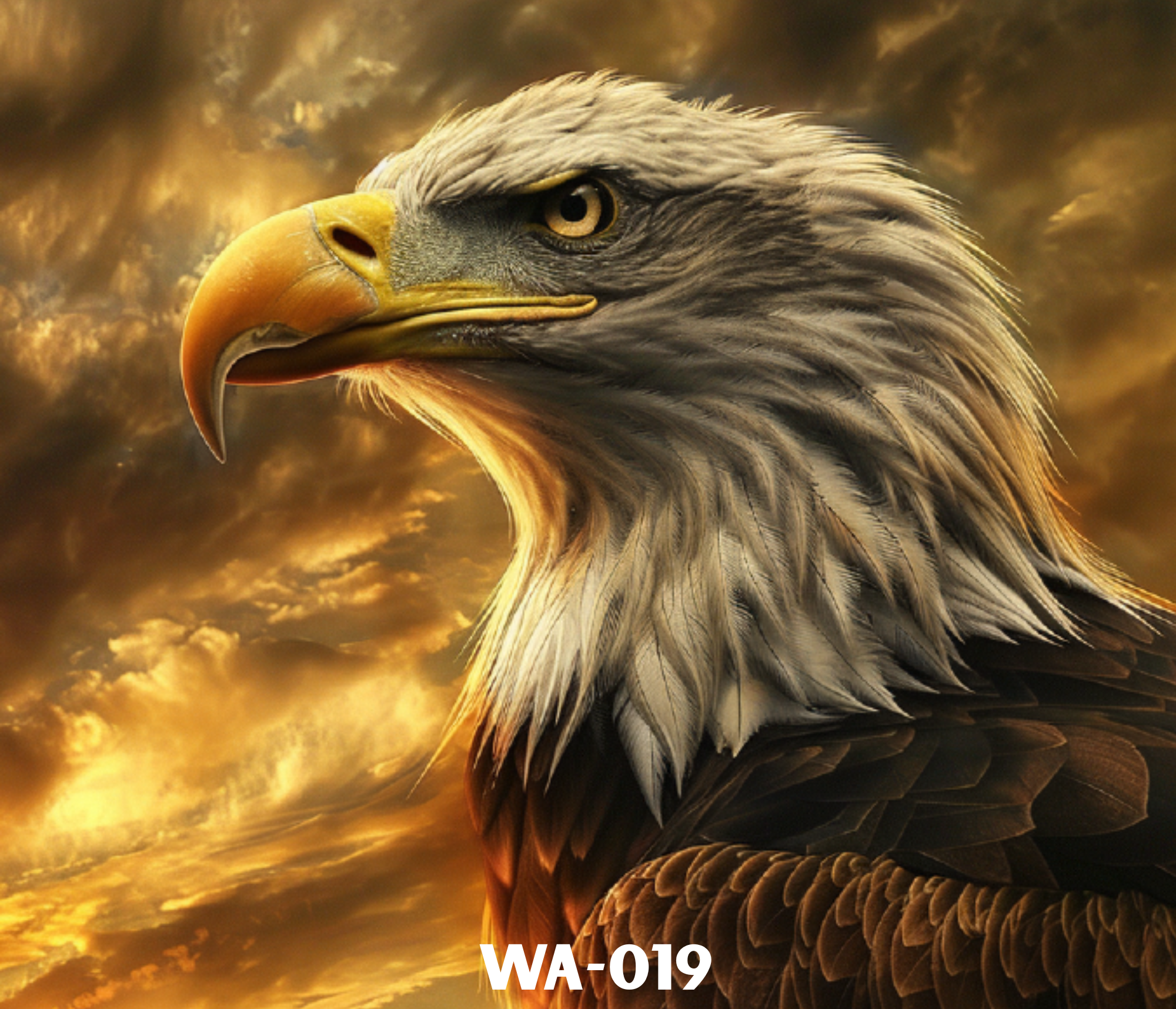 Close-up of an eagle's head with golden-yellow beak and piercing eye against a dramatic sky with golden clouds.