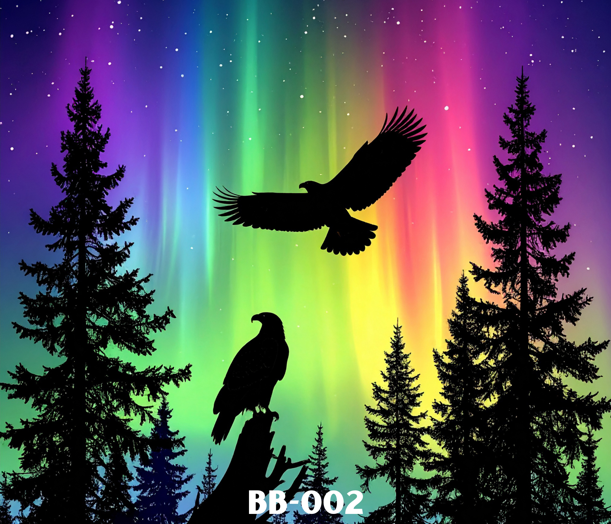 Silhouette of two birds on tree branches with a colorful night sky and northern lights in the background.