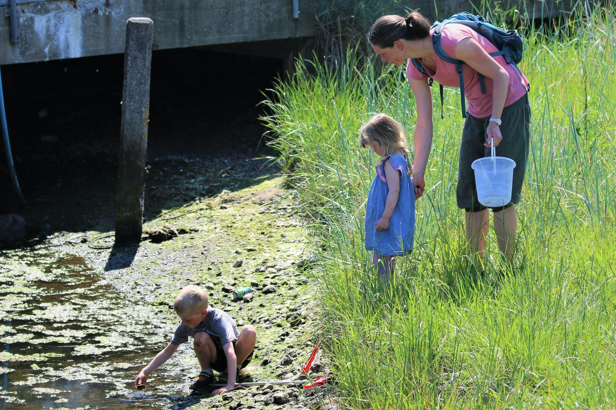 A woman and two children exploring a shallow stream near a bridge in tall grass during daytime. The woman is holding a bucket and bending down, while one child is squatting and touching the water.