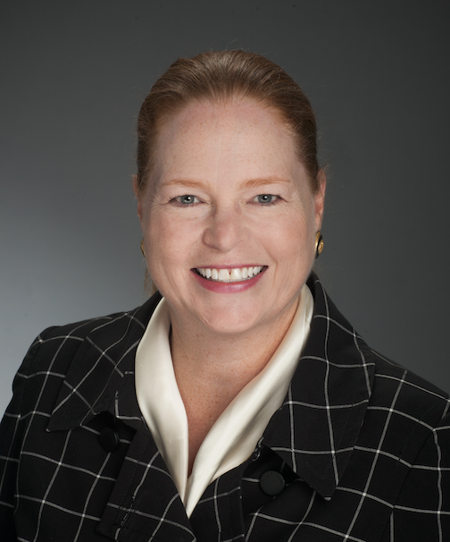 Professional portrait of Diane M. Burch, enterprise transformation and governance executive.